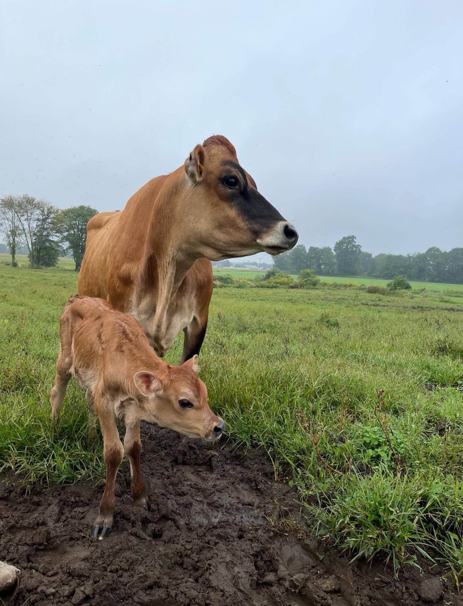 Happy Mother’s Day ❤️
We are so thankful for all the wonderful mothers and mother figures in our lives, and grateful to have a day dedicated to celebrating and recognizing everything they do!