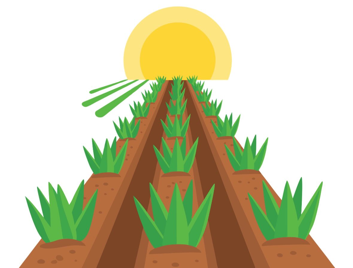 ☀️ The sun’s out & it’s time to get your soil tested 🌱
Make sure your garden, allotment, or development site is safe this season with Safe Soil UK.
Healthy soil starts with knowing what’s beneath your feet. #SoilTesting #Gardening #SafeSoilUK
https://www.safesoil.co.uk/