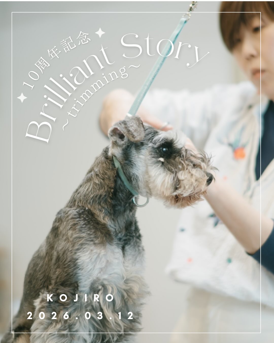 .
LOVE♡撮影会に続き、Brilliant Storyにも参加してくれた幸次郎くん。
『Brilliant Story』はお預かりから撮影が始まり、普段あまり見れないトリミング風景(下準備・シャンプー・ブロー・カット・ハーブボールマッサージ)、仕上がり後、お散歩風景(天気によっては店内撮影)を密着撮影するスペシャルな撮影会です。
ルンルンでハーブを選んだ後はママさんと別れ、真剣な表情でトリミングに挑みます✨
時々鏡を見て仕上がりをチェックする姿も可愛いですよね♡
トリミング終了後は、お外へ繰り出します🐾
その風景はまた後日…😊
#犬の撮影会 #brilliantstory #MuRunaphotographs #シュナウザーカット #新規受付中