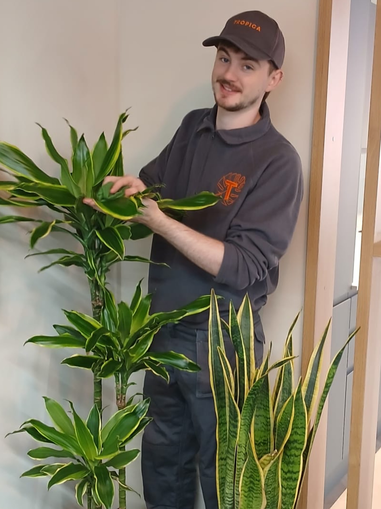 Meet Luca 🪴
We are growing and have a fabulous new plant technician to join our maintenance and installation team.
Graduating from Aberdeen University with a degree in Biology specialising in plant science and ecology, he’s a great asset to team TROPICA.
Luca has a special interest in cacti and succulents and spends his spare time propagating many different species.
.
.
.
.
#tropicaplants #tropicawilmslow #plantspecialists