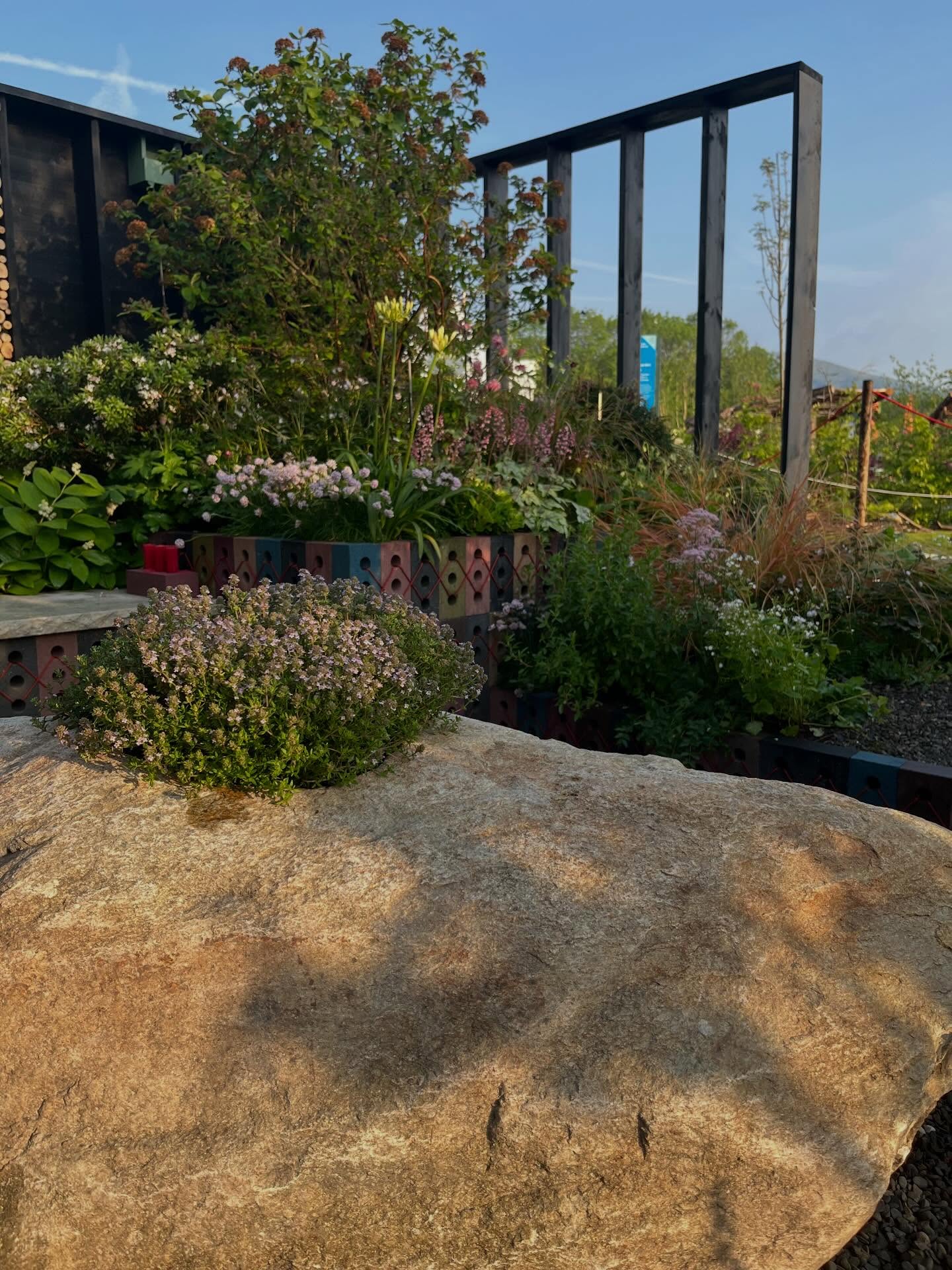 As the dust settles on this year’s wonderful RHS Malvern Spring Festival, we would like to say another massive thank you to our fabulous supporters.
@allgreengb generously supplied our feature boulder (complete with a brilliant planting hole), two bespoke natural stone bench tops, and the beautiful Herefordshire gravel.
@kenoteq provided the visually stunning and innovative K-Briqs which we used to create our spacious raised planting beds.
@majestictrees1 supplied three exceptional multistem Betula ‘Fascination’, giving us height, texture and glorious dappled shade.
@landscapeplus_uk very generously helped us to give the brilliant Breeze lights from @inlite_global their UK show garden debut (absolutely one of the star features of the garden and the subject of lots of interest from the show visitors). They also kindly assisted with a bespoke liner for our water pool, and the perfect @oase_global pump to keep the water moving exactly as we wanted.
The ONE garden was awarded a prestigious RHS Gold Medal, as well as Best Show Garden and a RHS Environmental Innovation Award. This success was only possible with the very generous support of these brilliant companies- thank you all for the contributions you made.
@malvern.shows #showgarden #rhsshows #teamwork