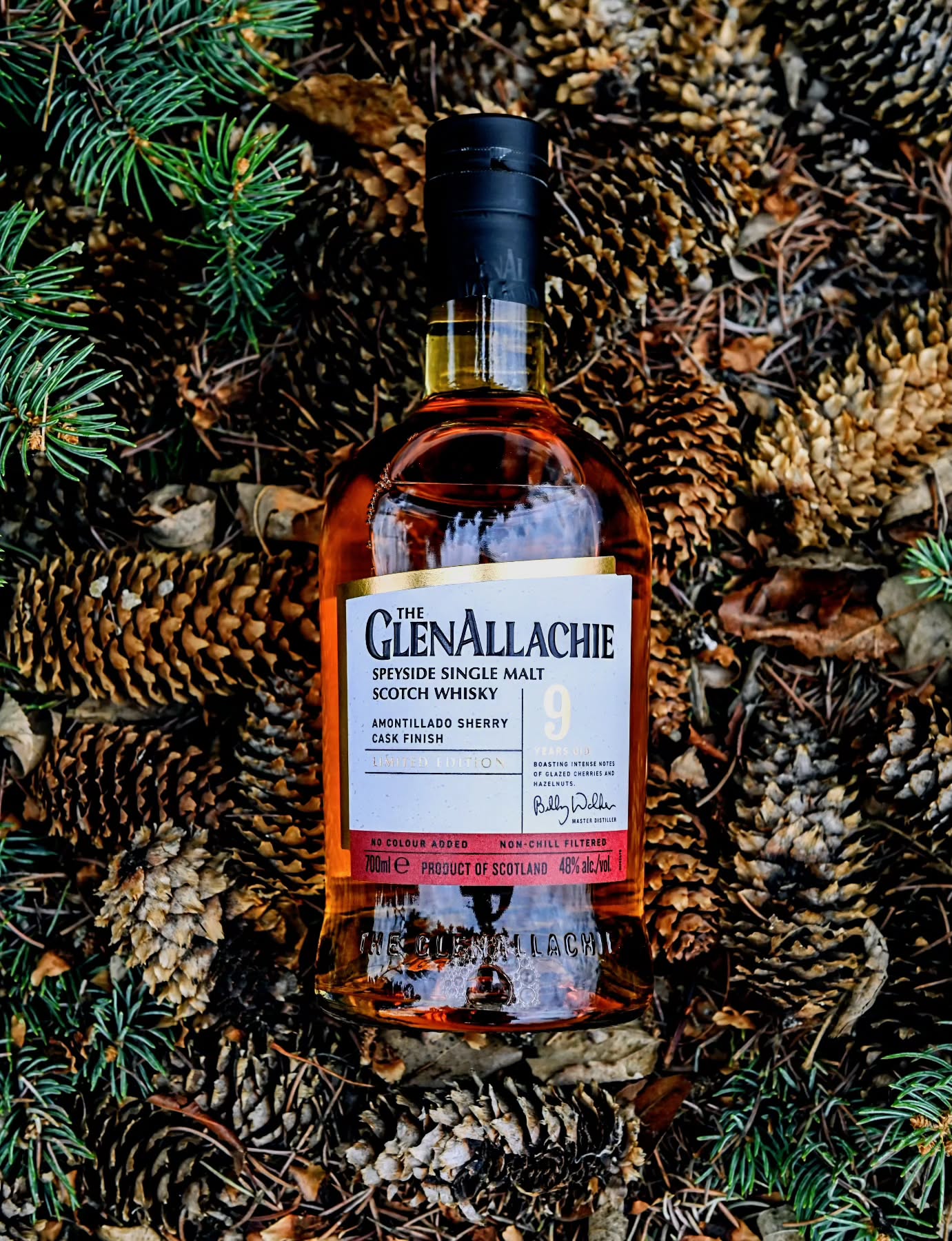 A recent discussion about Amintillado casked whisky had me thinking about this bottle.
The @theglenallachie_ 9 year old Amontillado finish from their 2024 "Sherry finish" trio of releases. Originally matured in Bourbon barrels before being finished in Amontillado sherry casks and then bottled at 48% abv.
While sherry casks and Glenallachie are no strangers to each other I was very happy to see an oft overlooked sherry style in Amontillado used here. The abv is almost perfect here and the casks and distillate are balanced and harmonious and elegant. A "happy" sherry instead of the Dark, brooding, moody usual culprits, this lends to a brighter feel woth a lot of honey and brighter red fruits. Cherries and fresh green grapes along with toffee and a rich nuttiness all swirl in the glass. Towards the finish some chocolate and earthiness comes through a bit.
Overall a damn lovely whisky here!
.
.
.
.
.
#whisky #glenallachie #amontillado #sherry #limitededition