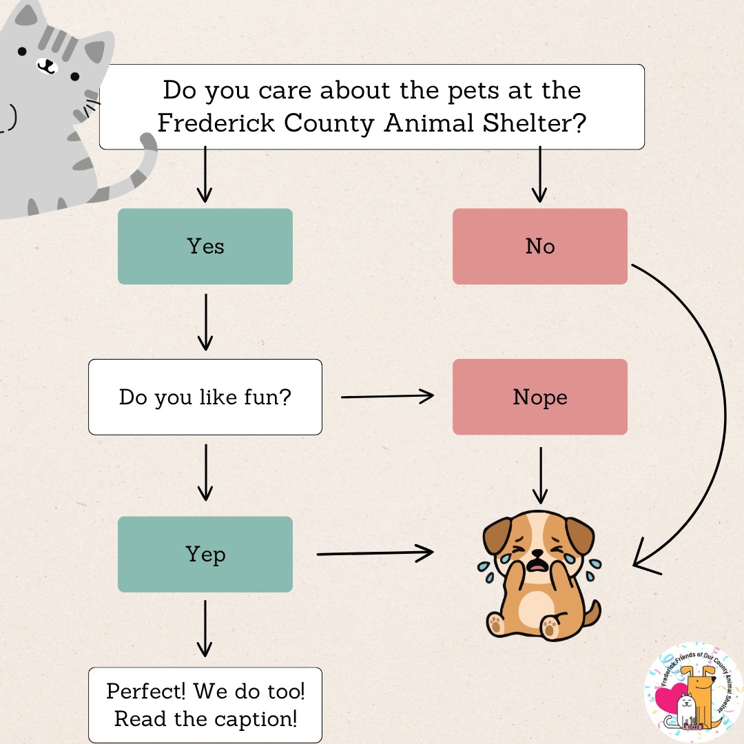 If you're reading this, you must care about the pets at @fredcoanimalshelter, and you like fun! This means Critters on the Catwalk on June 10th at 6:00pm at @warehousecinemasfrdk is for you! It's a human fashion show, a dog fashion show, and a happy hour, all in one! Meet local vendors, enjoy music from DJ Mally, check out the latest looks from local clothing boutiques, and meet some of the cutest pups from @fredcoanimalshelter! The best part is that 100% of your ticket goes to support the dogs you will meet and their other furry friends!
https://crittersonthecatwalk2026.eventbrite.com
#fashionshow #fun #dogs #localevents #fredericklocal #localfun #frederickmd #shelterdogs #wednesdayfun #petsarefamily #supportshelterpets #localpets