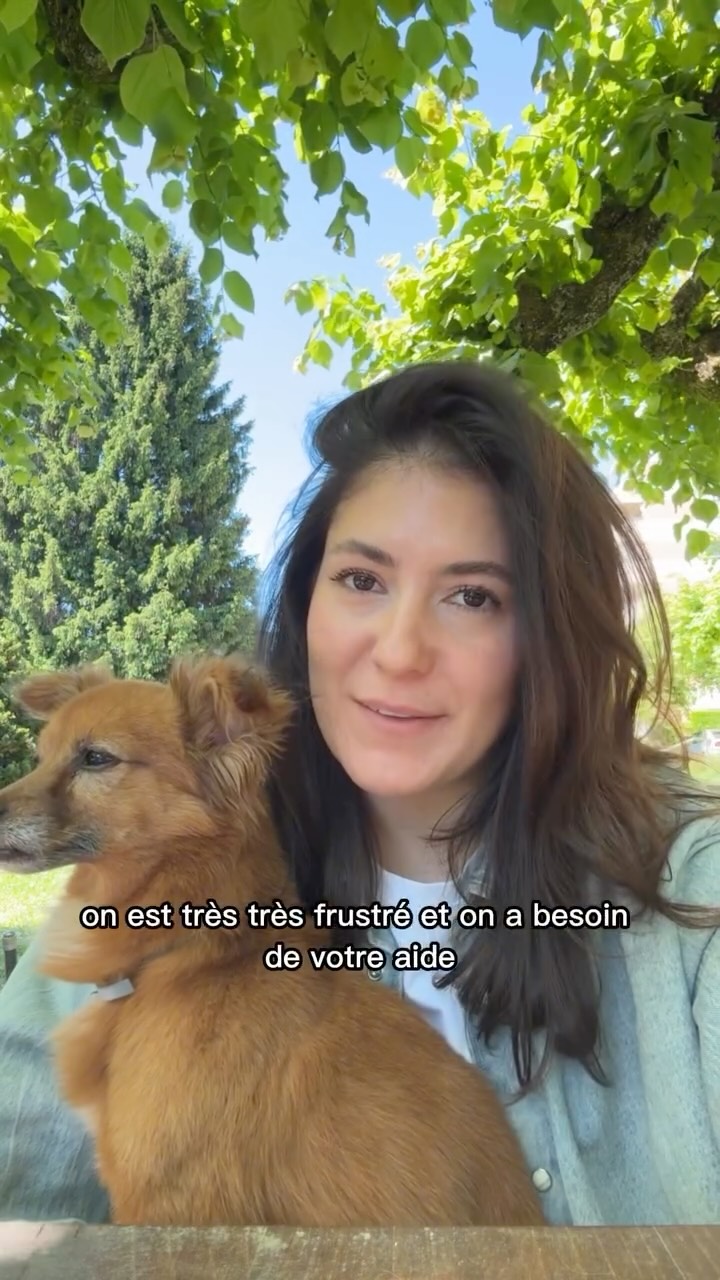 On a besoin de votre aide ✨
Ce n’est pas facile de trouver une surface commerciale quand on dévoile aux gérants/propriétaires que c’est pour des chiens 🥲 Une réalité frustrante mais on ne cède pas car nos chiens méritent plus d’espaces pour les accueillir! On est persuadé qu’on va trouver notre prochaine pépite avec l’aide de cette belle communauté de dog lovers 🥰
Qui aurait des bonnes pistes??
On est à la recherche d’une surface commerciale dans la région lausannoise (ou Genève?? 👀):
📐 150-250m2 au rez
🌿 Idéalement avec un petit espace extérieur ou proche de zones nature
💡luminosité naturelle + point d’eau
📍 Lausanne, St Sulpice, Pully, Belmont-sur-Lausanne, Mont-sur-Lausanne…. Max à 7km du centre de Lausanne.
Écrivez-nous en MP 🙏🏻