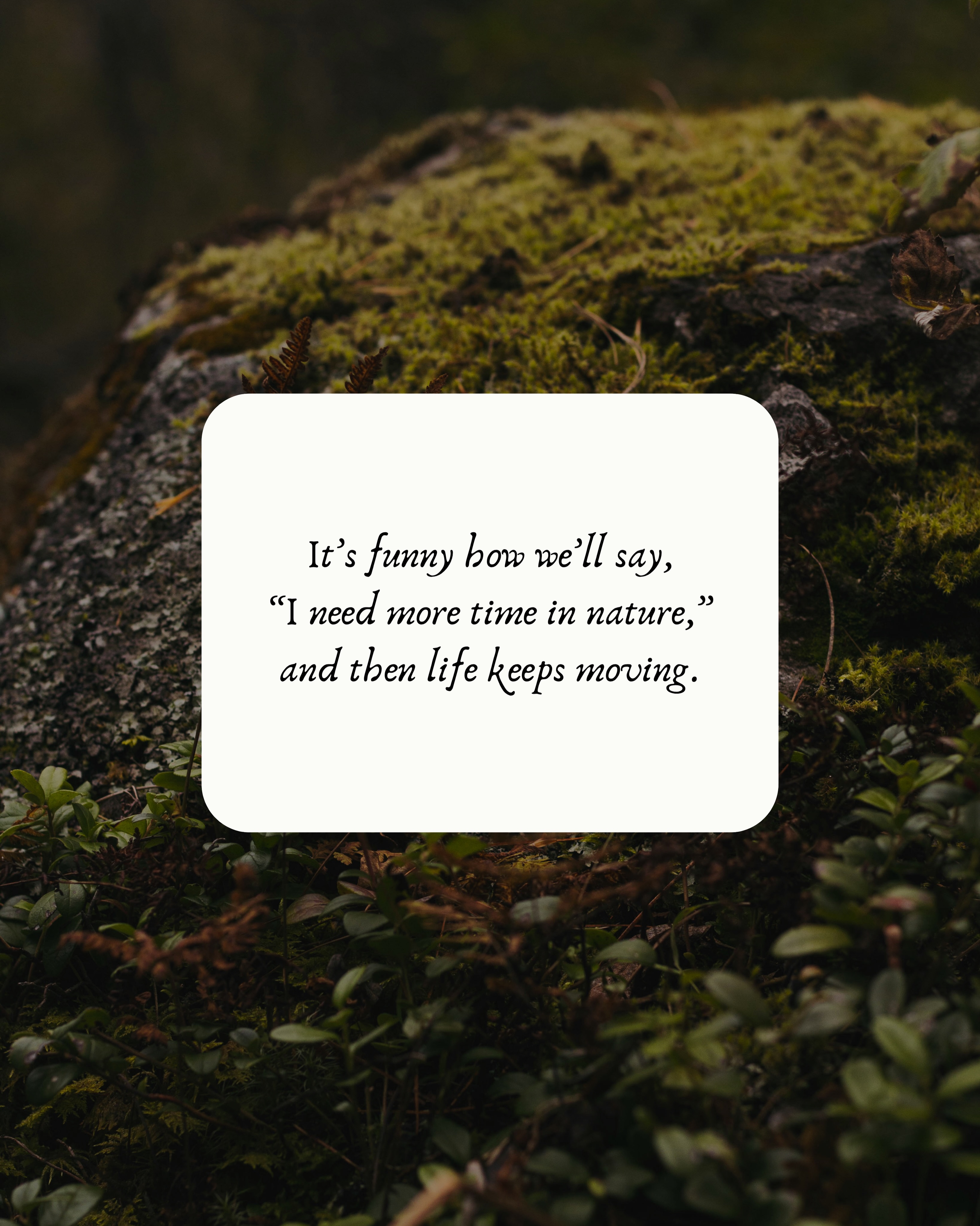 If someone came to mind while reading this… you don’t have to overthink it. You could invite them to join you. Or quietly gift them the time for themselves. No expectations. No outcomes to reach. Just a few hours in the forest, and whatever that becomes.
#cashiersnc #foresttherapy #friendsoflakeglenville #blueridgemountains #forestbathing