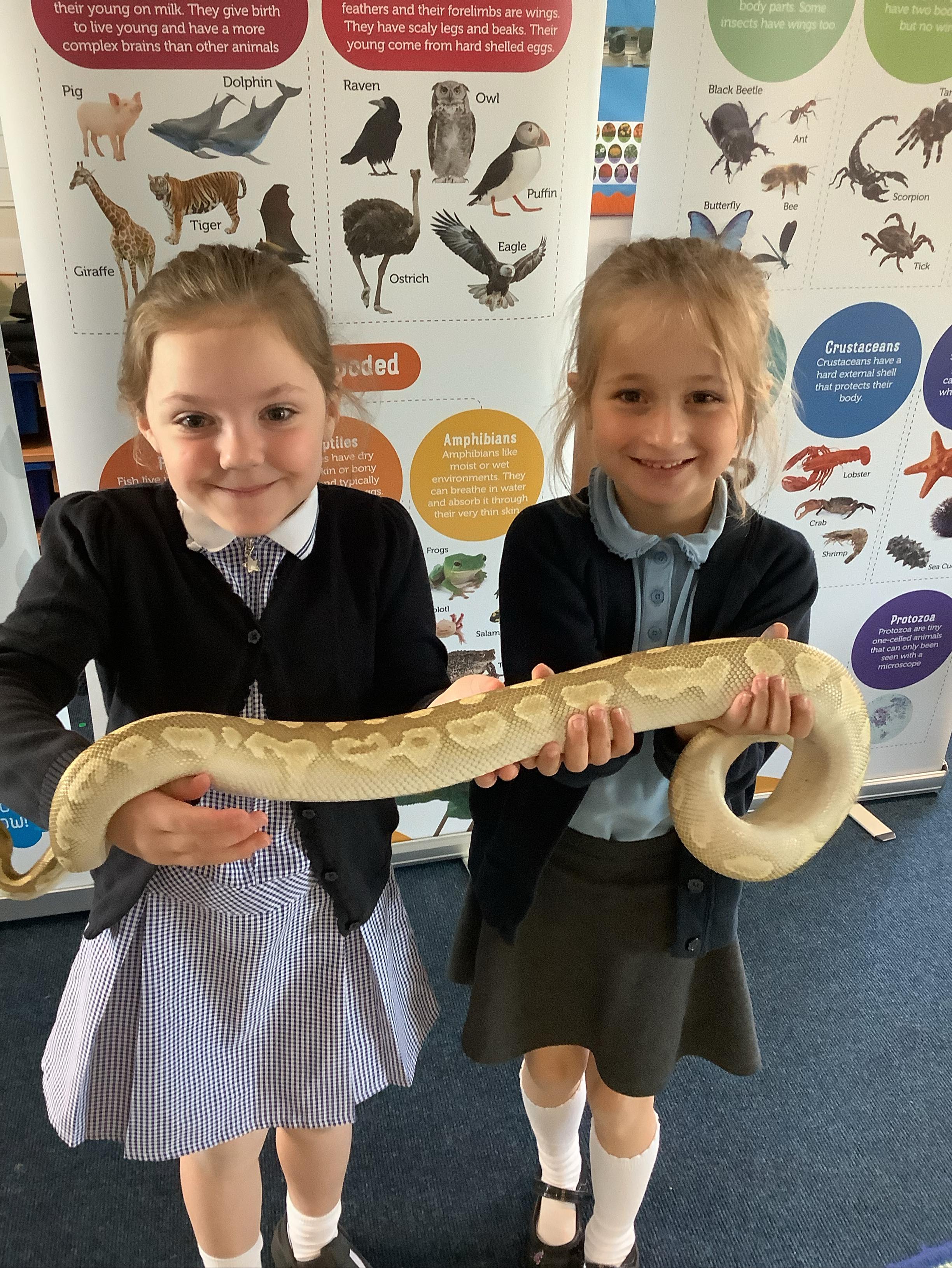 Class Beech really enjoyed their animal encounter today! Here are some pictures of some children being brave and holding animals. We recapped what we had learnt in Science and also learnt lots of new facts too! 🐍