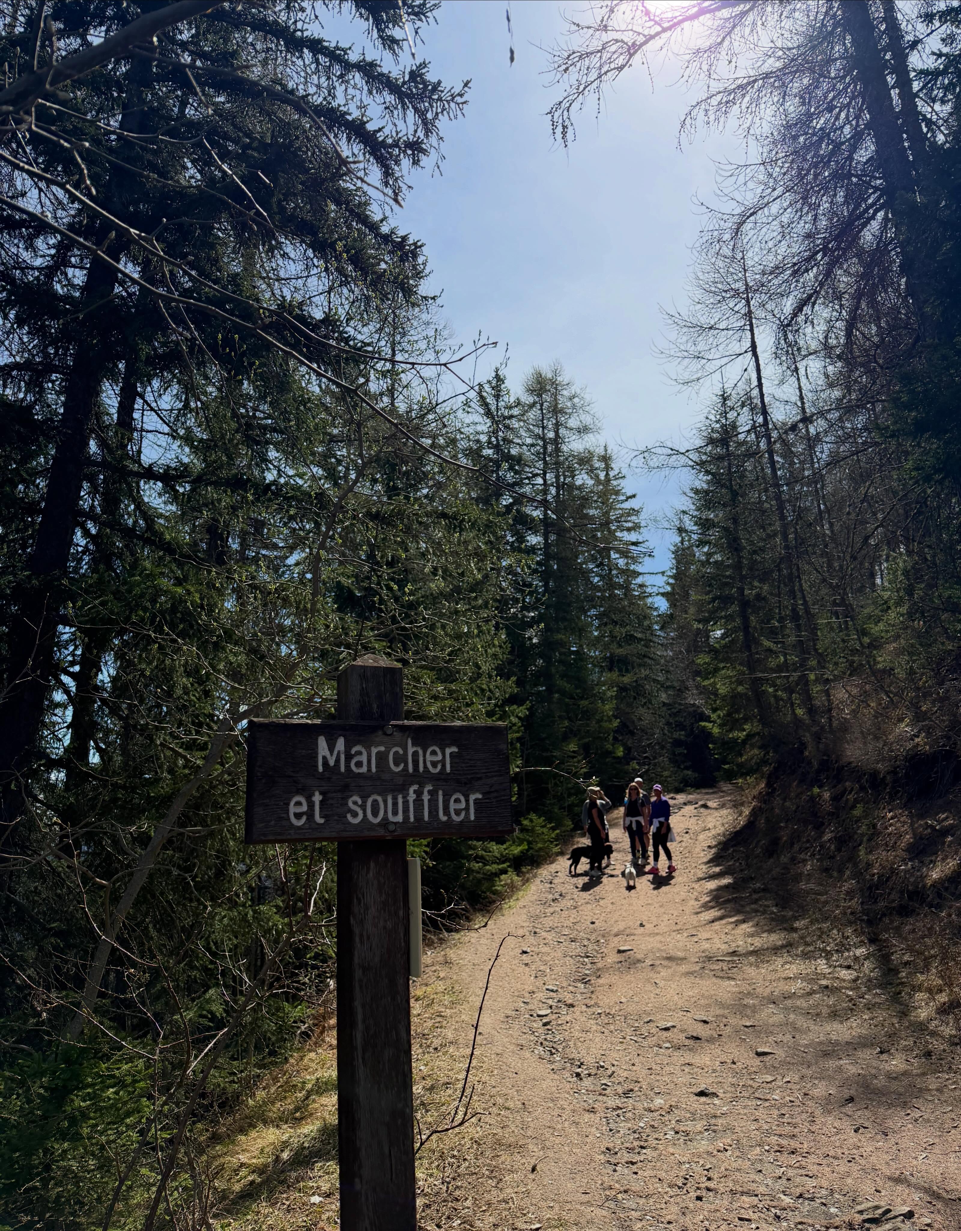 Marcher, souffler, ralentir 🤎
Au Prieuré, le luxe se trouve dans les choses simples : l’air pur, le silence, la nature et le temps qu’on s’accorde. 🌿
DETOX GOURMANDE BOOK NOW 🏔️