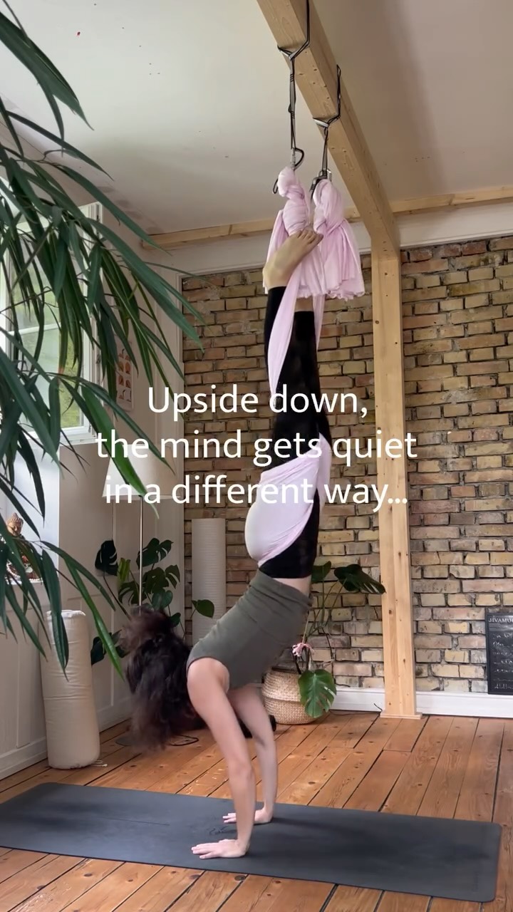 I don‘t know if it‘s clear enough but „I love it here“ 🙃😂
Drop a ❤️ if you enjoy being upside down too 👇
#aerialyoga #justforfun #lettinggo #stretch