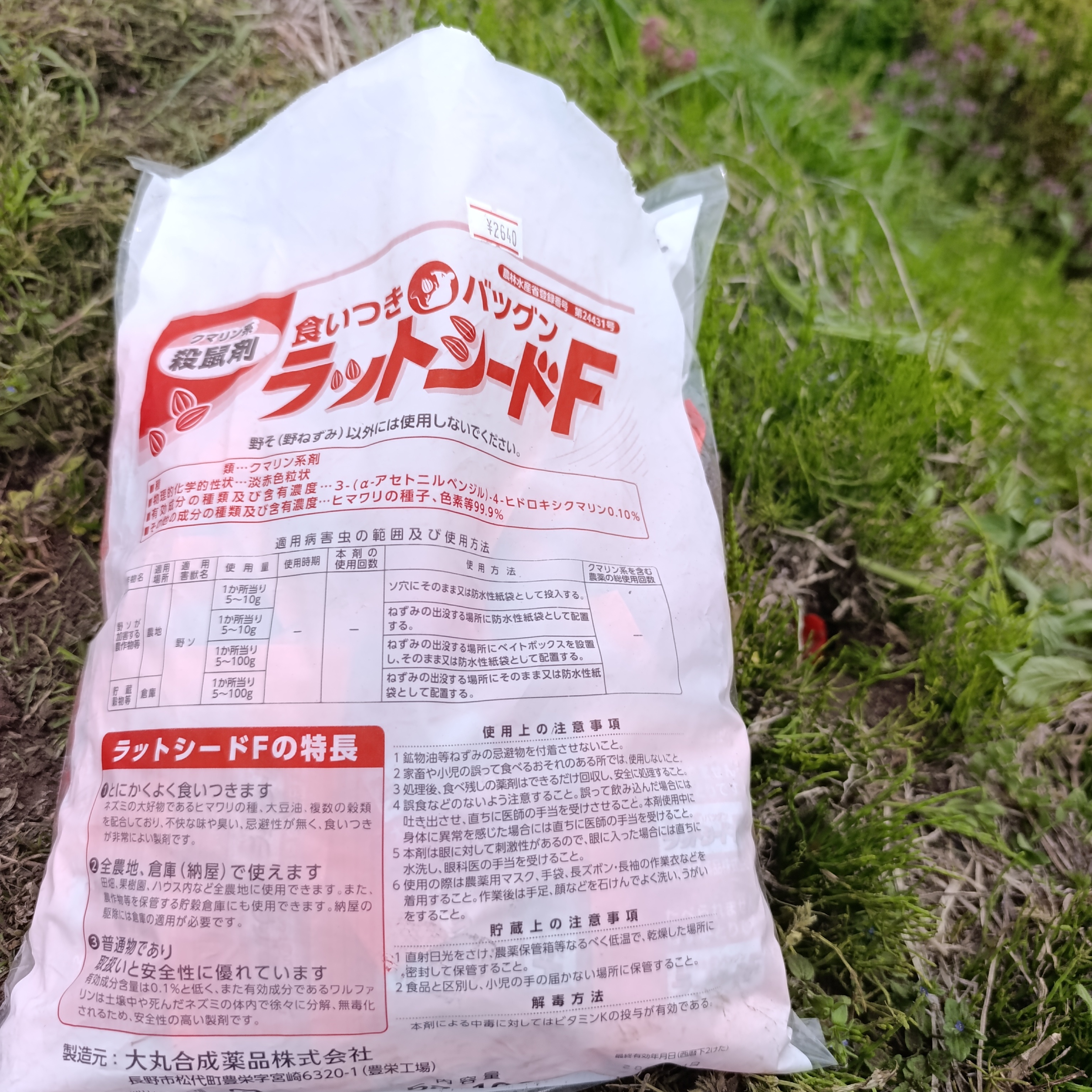 🍎🍏
【天敵:ネズミ】
雪の積もった園地。
2月中旬ぐらいから、雪の中をネズミが動いています。
動いてなにをしているかというと。
りんごの若木を齧っています。
木は木の表面で水をあげています。
ネズミに齧られると、水をあげることができず、枯れてしまいます。
ネズミを減らすために、殺鼠剤を穴という穴に突っ込みました。
園地内のネズミ密度を減らすこと。
ネズミ対策の第一歩です。
■■■■■ジュース加工について■■■■■
現在、工場建て替え中です。
9月中旬頃から工場稼働予定です。
最新情報は、公式LINEで配信しております。
------------------------
【公式LINE】
https://lin.ee/74LkMcf
------------------------
りんごジュース販売中!
・stores、ポケットマルシェにて販売中です!
https://tono-fruits-lab.stores.jp/
--------------------------
#津軽りんご加工センター
#りんご加工 #ジュース加工
#つがる果樹工房 #つがる林檎園 #stores
#ringofarmer
#東北 #青森 #弘前 #青森ライフ
#tohoku #aomori #hirosaki #aomorilife
#りんご #りんご畑 #りんご農家
#ringo #apple #りんごジュース
--------------------------
【農ナビ青森に取り上げていただきました】
https://www.nounavi-aomori.jp/start/publicity
#農なび青森
--------------------------
