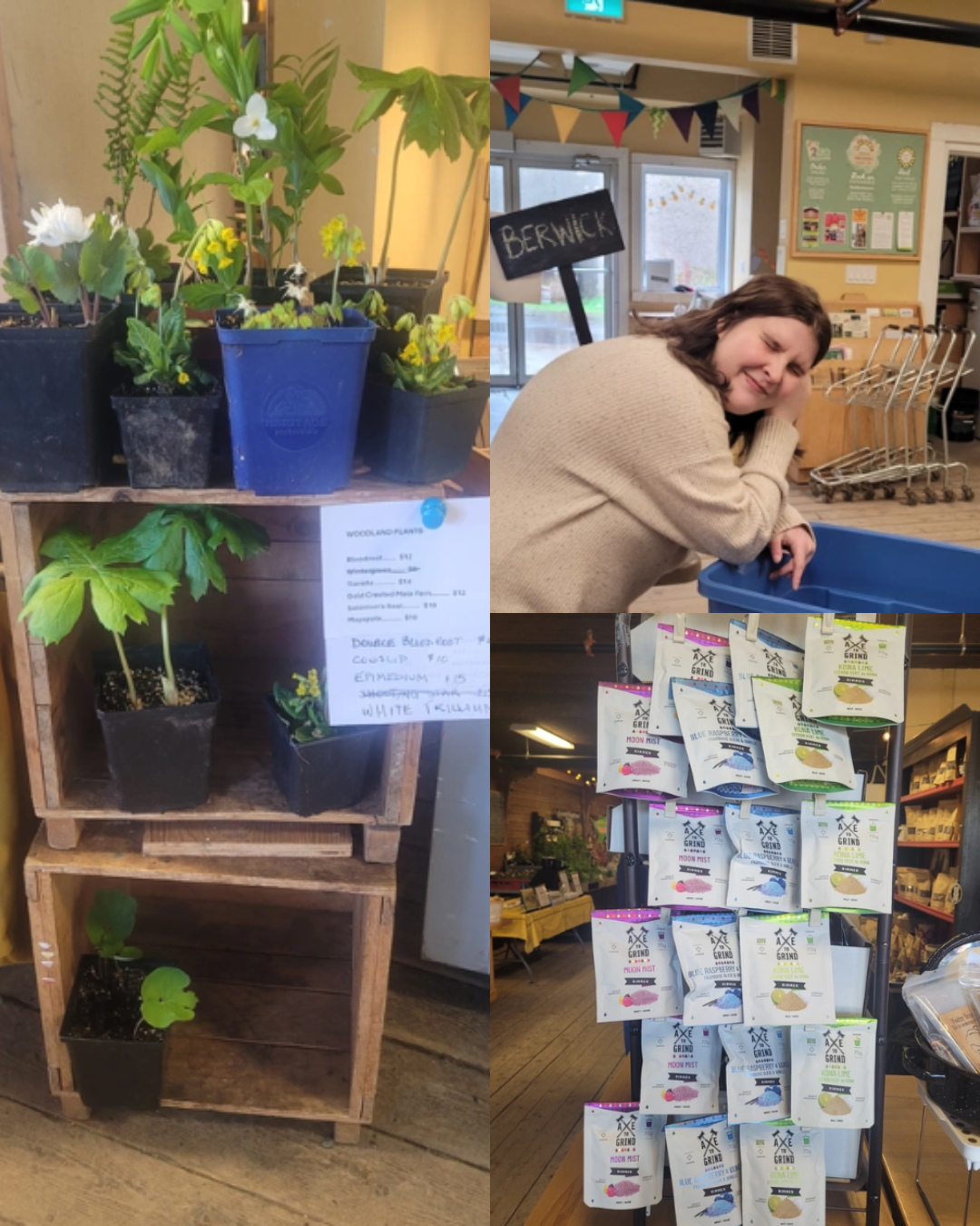 Ordering is now open!š±š»ā
ā
Shop from your favorite vendors and check out items only available online!ā
ā
Highlighted products this week are fresh Sorrel from Herbal Hill Farms, Rainbow Swiss Chard from Longspell Point Farm, and many, many more!š¾ā
ā
#wolfvillefarmersmarket #wolfville #annapolisvalley #novascotia #farmersmarket #wfm2go #shoplocal #eatlocal #buylocal #supportlocal #freshproduce #community #letsdothis