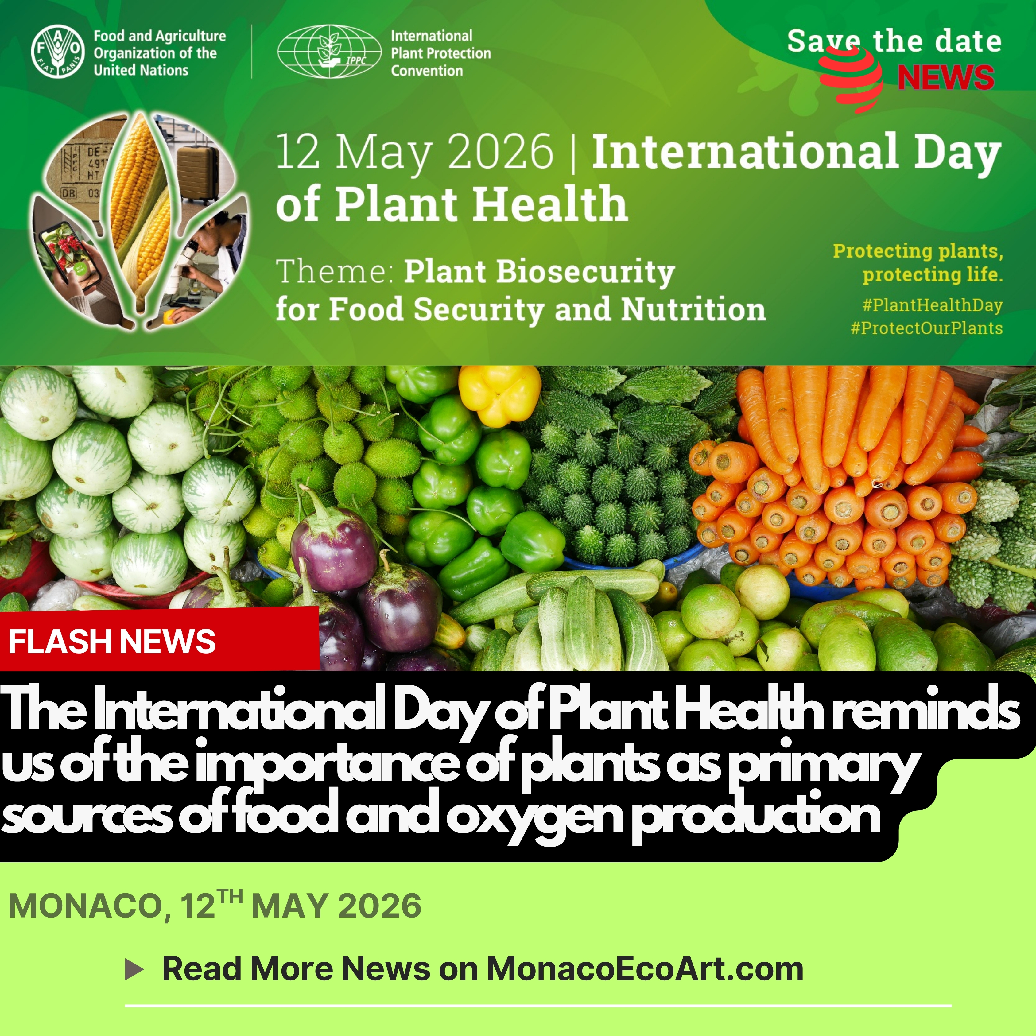 @mo.eco_art MonacoEcoArt.com #flash #news #anniversary #plant #health #day🌳🌿 Today, the 12th May 2026, we celebrate the International Day of Plant Health – IPDPH - to raise global #awareness on how protecting plant health can end hunger, reduce poverty, #protect the #environment, and boost #economic development: established by the UN United Nations and championed by the FAO – Food and Agriculture Organization, it highlights that up to 40% of food crops are lost to plant #pests annually 🌾🍞Under the main theme “Plant Biosecutiry for Food Security”, the 2026 is aimed at highlighting that safeguarding plants protects #life, #biodiversity, and ecosystem #functions 🌲🌱 Not by chance, plants provide 80% of the food we eat and 98% of the oxygen we breathe, thus, the international community must mobilize to combat the effects of climate change on flora, and the spread of diseases through the human factor 🍏🥦 Under the umbrella of FAO and the International Plant Protection Convention @ipps_nz_region @ipps_auregion – IPPC – local communities are invited to attend events, scientific summits, educational workshops and other collective initiatives to promote sustainable development in agricultural practices Key Tips for Selecting Organic Produce: 1. Check the PLU Code: Organic items have a 5-digit code starting with 9 (e.g., 94011 for organic bananas) - Conventional produce has a 4-digit code (e.g., 4011); 2. Look for Certification Seals: In UE and US, look for the Organic seal, which guarantees the product meets strict production standards; 4. Inspect Appearance: Organic produce may look less "perfect" or shiny than conventional, often appearing smaller or more irregularly shaped, which is normal; 5. Use Sensory Checks: Choose produce that is firm to the touch, has a strong, natural aroma, and lacks soft spots or signs of spoilage, 6 Buy Locally: Shop at farmers' markets to ask growers directly about their farming practices, which often follow organic standards even if not certified 📸 © @fao - Layout and Contents by: © MonacoEcoArt