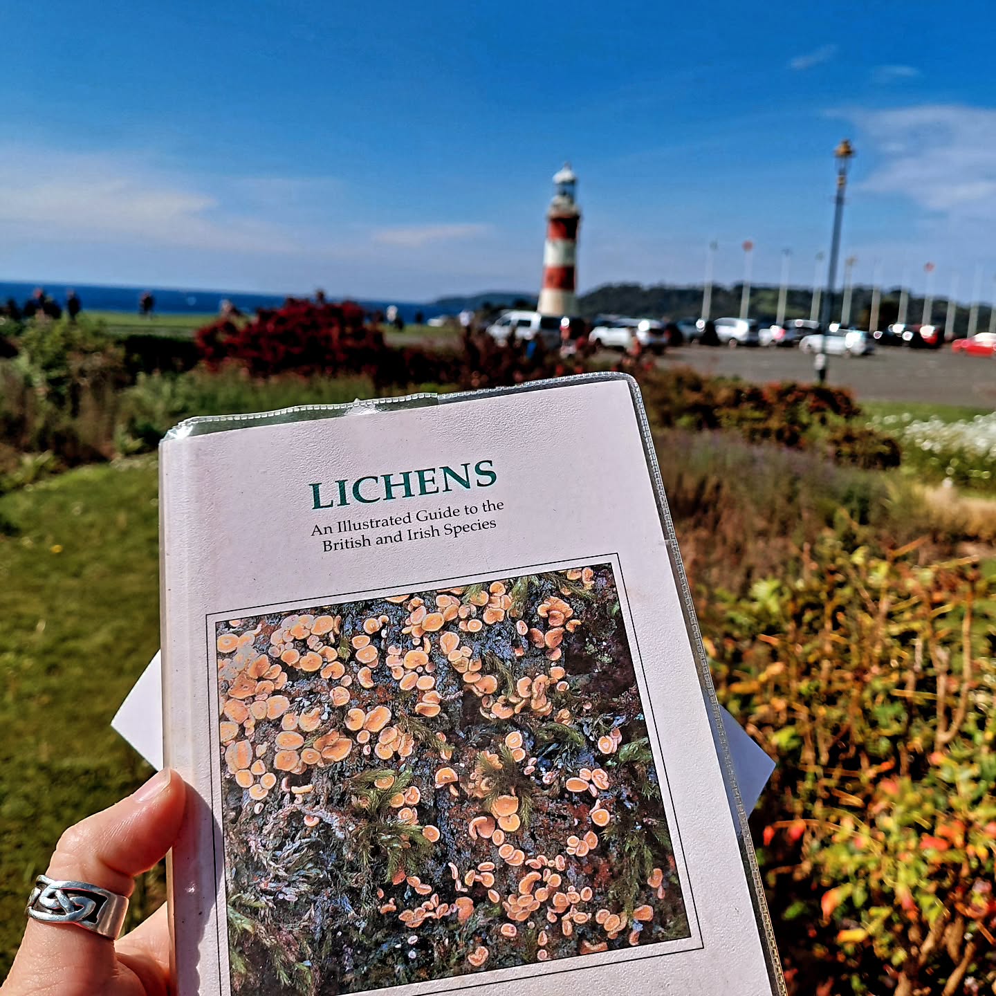 What a fabulous way to spend a Sunday morning, a lichen walk as part of @plymouthurbantreefestival with @plymouthtreepeople and #plymouthlichengroup