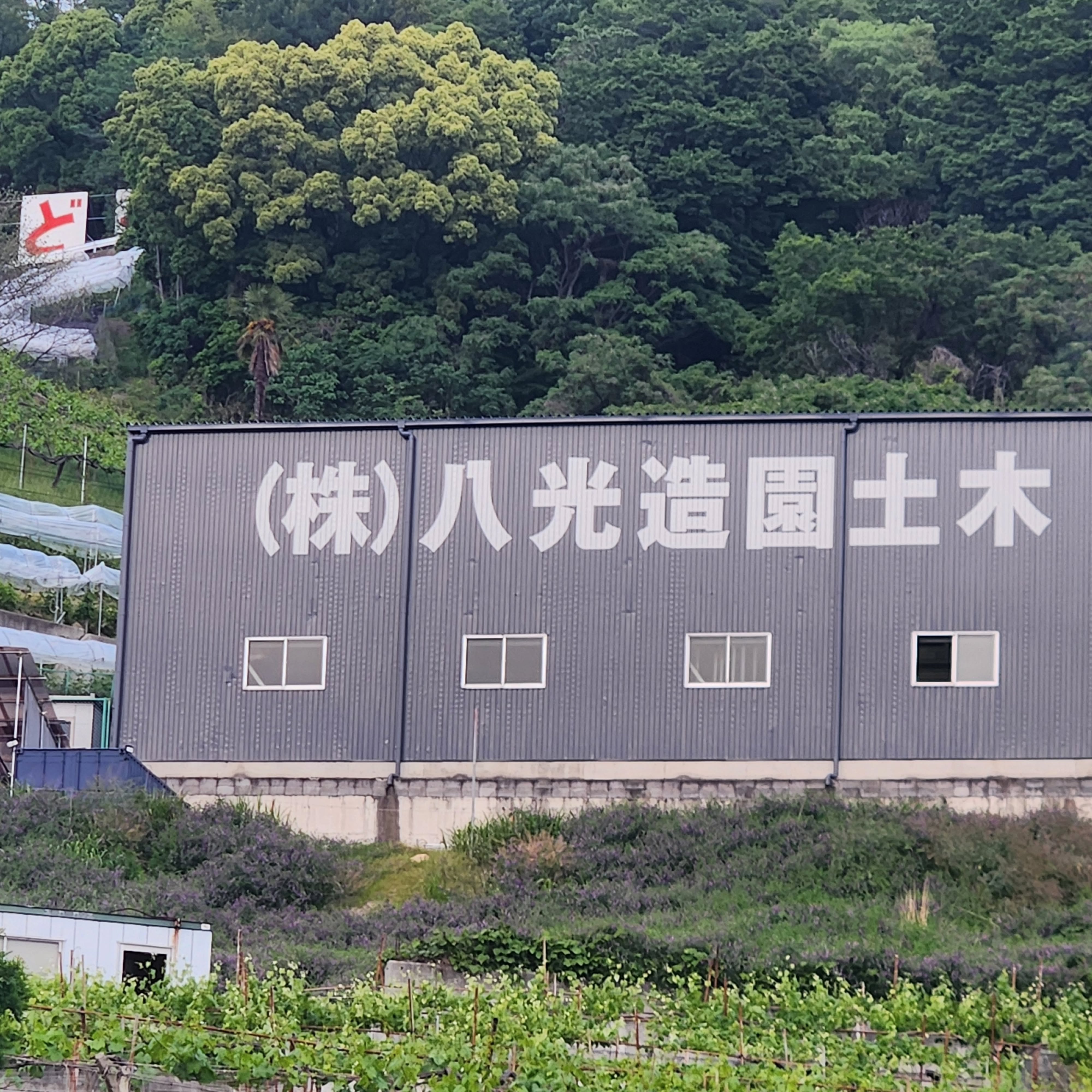 倉庫の塗装が、いよいよ完成しました。ガラっとイメージを変えました。#柏原市 #柏原市造園 #柏原市いいところ