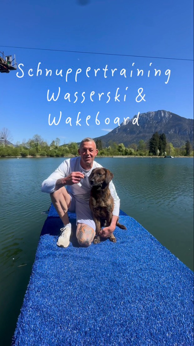 Jeder Anfang ist schwer / aber wir machen ihn dir leicht 🌊
Du bist zwischen 6-15 Jahre alt und wolltest schon immer mal Wasserski oder Wakeboard ausprobieren? Dann ist unser kostenloses Schnuppertraining genau das Richtige für dich! 🙌
📍 Jeden Samstag: Wasserski
📍 Jeden Sonntag: Wakeboard
Für Kinder & Jugendliche bis 15 Jahre
Kostenlos zum Reinschnuppern
(Nur mit anmeldung möglich)
Denn: Jeder fängt mal klein an
Alle Infos bekommt ihr direkt bei uns im Wasserski-Shop vor Ort oder per Mail
Wir freuen uns auf euch! 🤙
#wakeboard #wasserski #wakepark #wakeboarding #wasserskifahren
