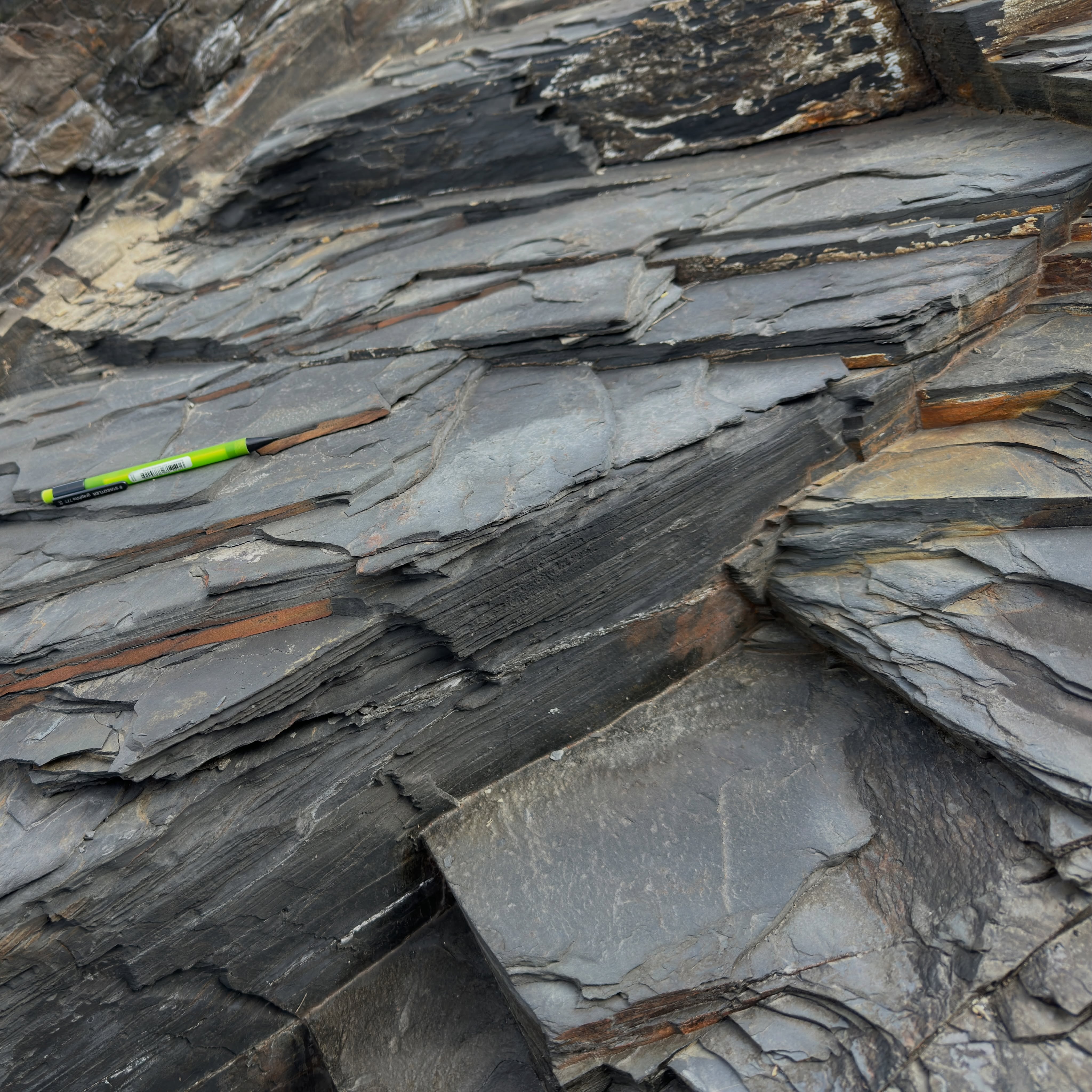 Some Cornish slate in the Crackington Formation at its type locality.
The geological recipe for these rocks in North Cornwall includes some Paleozoic mudstone with some added Variscan heat and pressure, producing a delicious plate of slate!
While not as famous as our Celtic neighbours in Wales, Cornwall does produce good quality slate for building and decoration in places.
Slate is a metamorphic rock. It is fine-grained; you seldom see minerals with a hand lens and if you do they are usually very fine white flecks of mica.
Another defining characteristic is a strong metamorphic layering called a foliation or slaty cleavage (giggle). This allows slate to split easily to create thin slithers of rock.
The protolith of slate is a clay-rich mudstone. Clay minerals are shaped like microscopic plates. As the rock is buried, perhaps caught between colliding tectonic plates, it experiences temperatures and pressures of a few hundred °C and a few kilobars.
This causes low-grade regional metamorphism, creating new minerals from the clay like mica, chlorite, and illite. All still platy-shaped.
As the rock is squeezed those platy minerals get aligned into parallelism, oriented perpendicular to the direction of shortening. This microscopic alignment gives slate that characteristic foliation.
After the rocks are relieved of pressure they can expand. The foliation now acts as a plane of weakness along which fractures form.
As well as a handy building material, studying slate tells us a lot about how they form.
This slate in the Carboniferous Crackington Formation formed from muds deposited on an ocean floor. They were quickly buried and deformed by Variscan continental collision resulting in these beautiful slates.
#structuralgeology #tectonics #cornwall #geology #geologyrocks