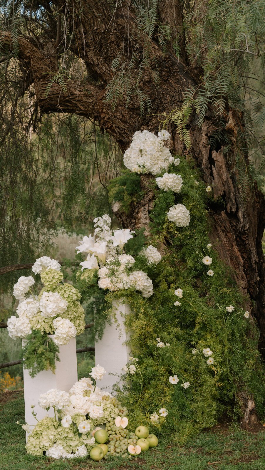 Your Mallorca Wedding ceremony of your dreams loading 💚🤍
Weddingplanner: @laceriseweddings
Photographer: @julialoefflerfotografie
Location: @sonburguet
Rentals: @totapunteventscatering
Flowers and Decoration: @your.wedding.ag
#weddingplanner #mallorcaweddingplanner #destinationweddingplanner #weddingplannermallorca #mallorcawedding