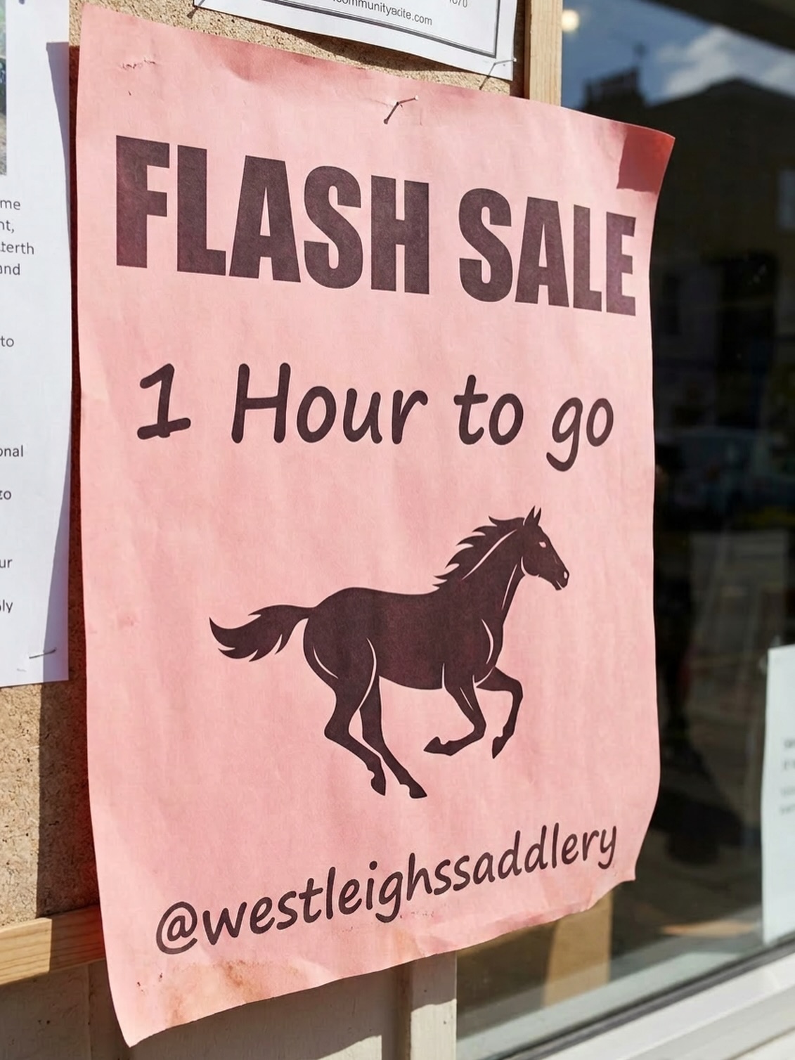 ONLY 1 HOUR TO GO!! KEEP YOUR EYES PEELED🛍️ #flashsales #deal #westleighssaddlery #specialoffer #equestriandeals