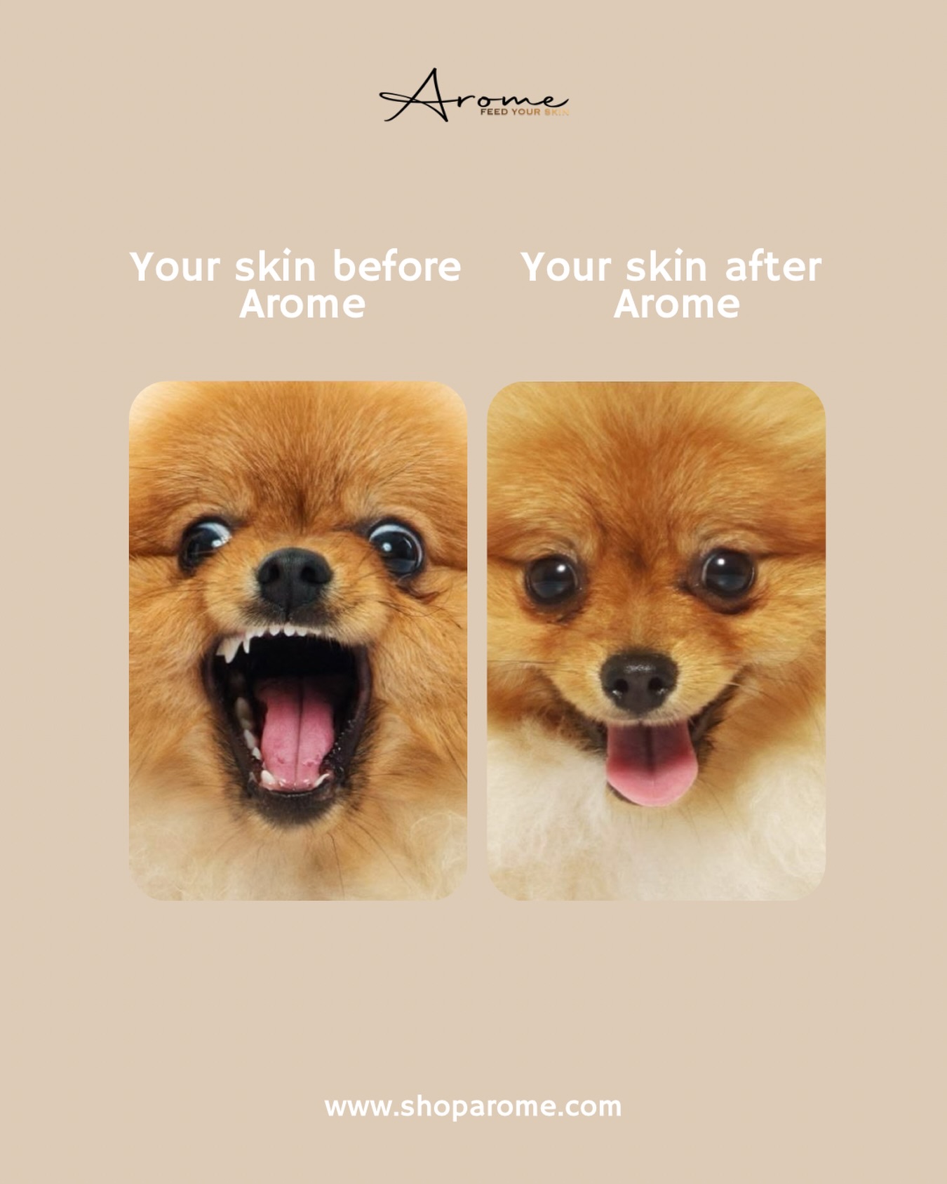 Before Arome: surviving 😩
After Arome: thriving 😌✨
This is your sign to stop fighting dryness 😭🤍
Feed your skin with Arome.
Shop via link in bio.
#dmvskincare #dmvgirls #skincareformelanin #shoparome #skincareroutine
