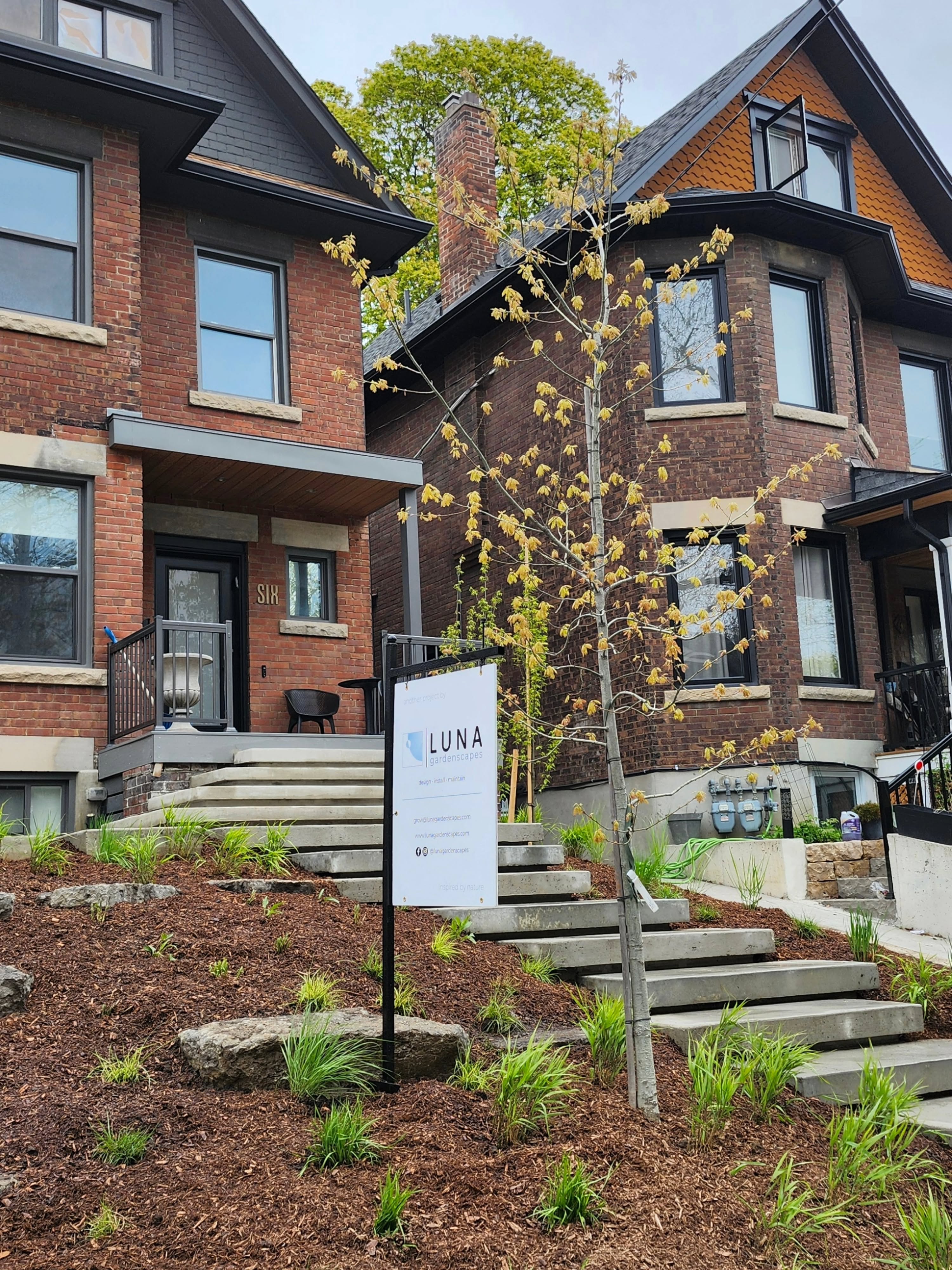 Mix n' matchin' grassy meadow adds magic and movement to a sunny front. Interspersed grass-like perennials will bring on the pollinators. TGIF! ๐
#lunagardenscapes
#torontogardens
#torontolandscapes
#womenintrades
#movementismedicine