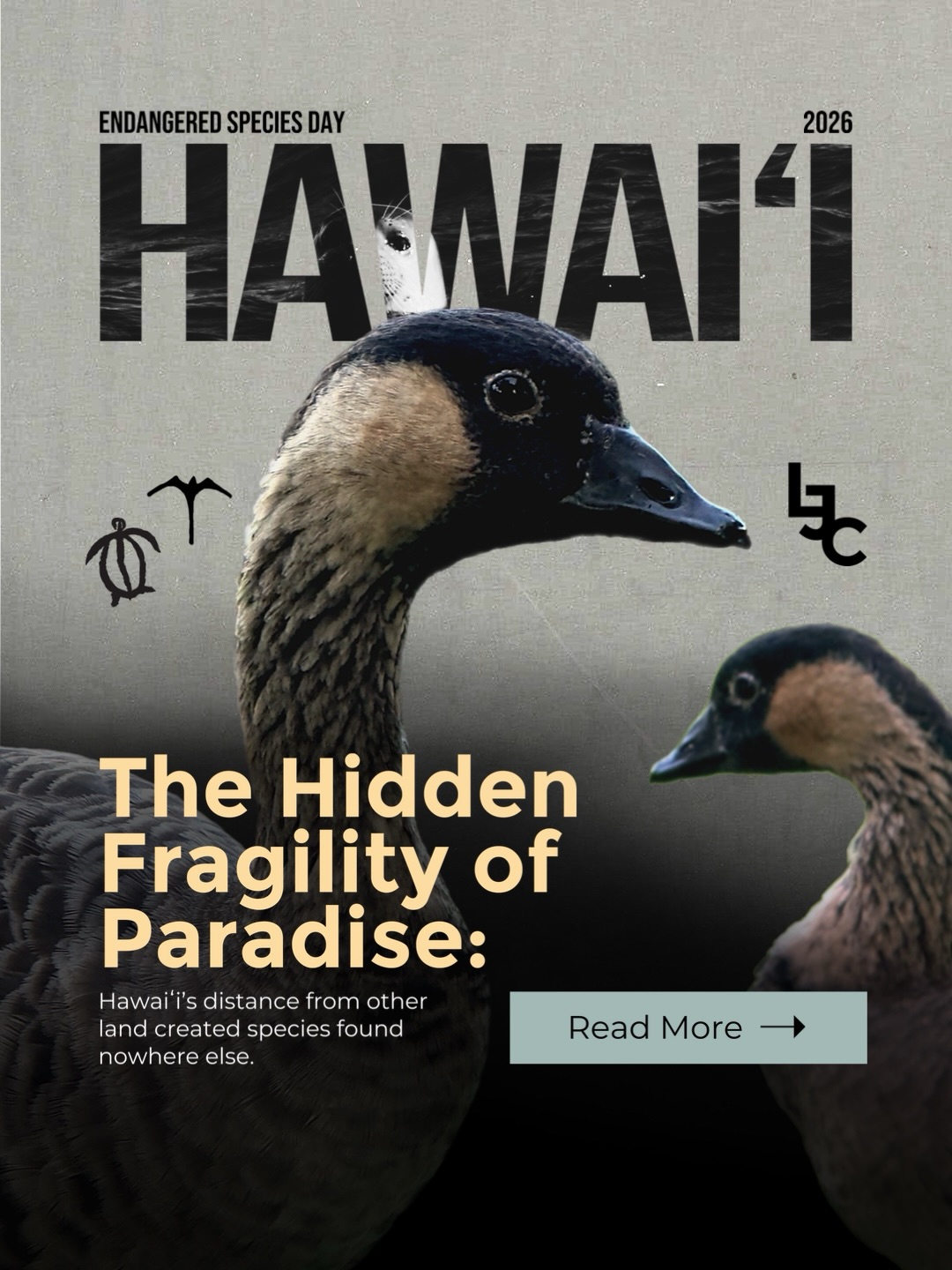 Some of the rarest wildlife in the “United States” exists in Hawaiʻi today.
These ecosystems evolved over millions of years in isolation, creating relationships between species and environment found nowhere else on Earth.
That same isolation also created fragility.
In island ecosystems, small disturbances can create lasting effects across entire systems over time. What enters a landscape, spreads through it, or disrupts its balance rarely stays isolated.
Endangered Species Day is not only about recognizing what is rare. It is also about understanding the ecosystems that allow native species to survive in the first place.
Some ways to help reduce ecological pressure:
• Clean hiking gear before entering native areas
• Avoid transporting untreated plants, soil, or organisms between locations
• Respect restoration zones and protected habitats
• Support native planting and habitat restoration efforts
Remember: Small decisions can carry lasting ecological effects.