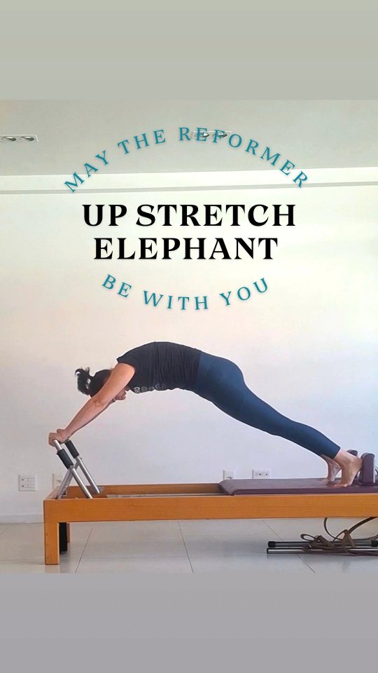 DIA 16 – Up Stretch e Elephant
Admiral Ackbar: “É uma armadilha!”
Achou que era só empurrar? Bunda pra dentro, coluna enrolada e estabilizada e carro sob controle. O povo quer ser malandro, mas cai na pegadinha do Power House.
May the Reformer be with you com Reformer @equipilates_oficial é outro patamar.
@parceirosequipilates 👇🏻.
Cupom de desconto #moniqueayala
