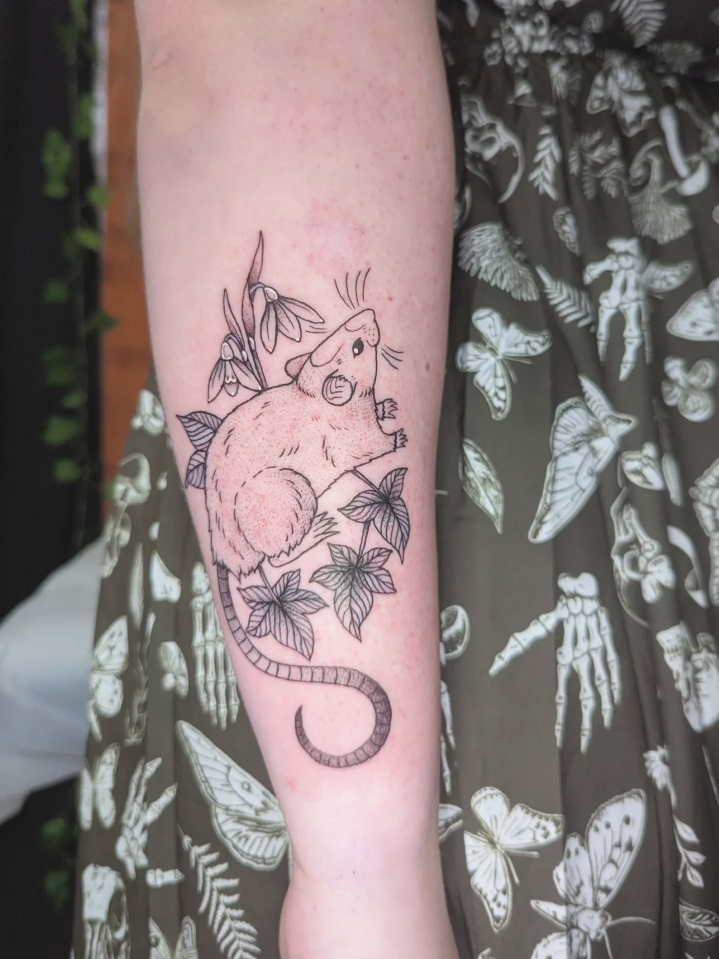 Rat from my flash chosen at The Big North Tattoo Show by Jayne ✨ thanks for walking up and choosing this lil critter!!!
With snowdrops which have been my favourite spring flower, I love watching the changing of the seasons and which plants and florals are springing their little heads up after sleeping throughout winter ✨🌱🌿
Whoever came up to me at the convention and said they loved how I make rats cute instead of scary, thank you so much! That made my weekend 🥹✨🫶
I am guesting at @evergreentattoos on Friday 29th May and would love to make some similar critters! North east people come forward 😻 I still have the whole day available.
I am booking for May to August, to make an enquiry either fill in my booking form which is linked in my bio, or email me directly at booking@ericattattoo.com 🌱✨
#edinburghtattooartist #edinburghtattoo #newcastletattoo #newcastletattooartist #rattattoo