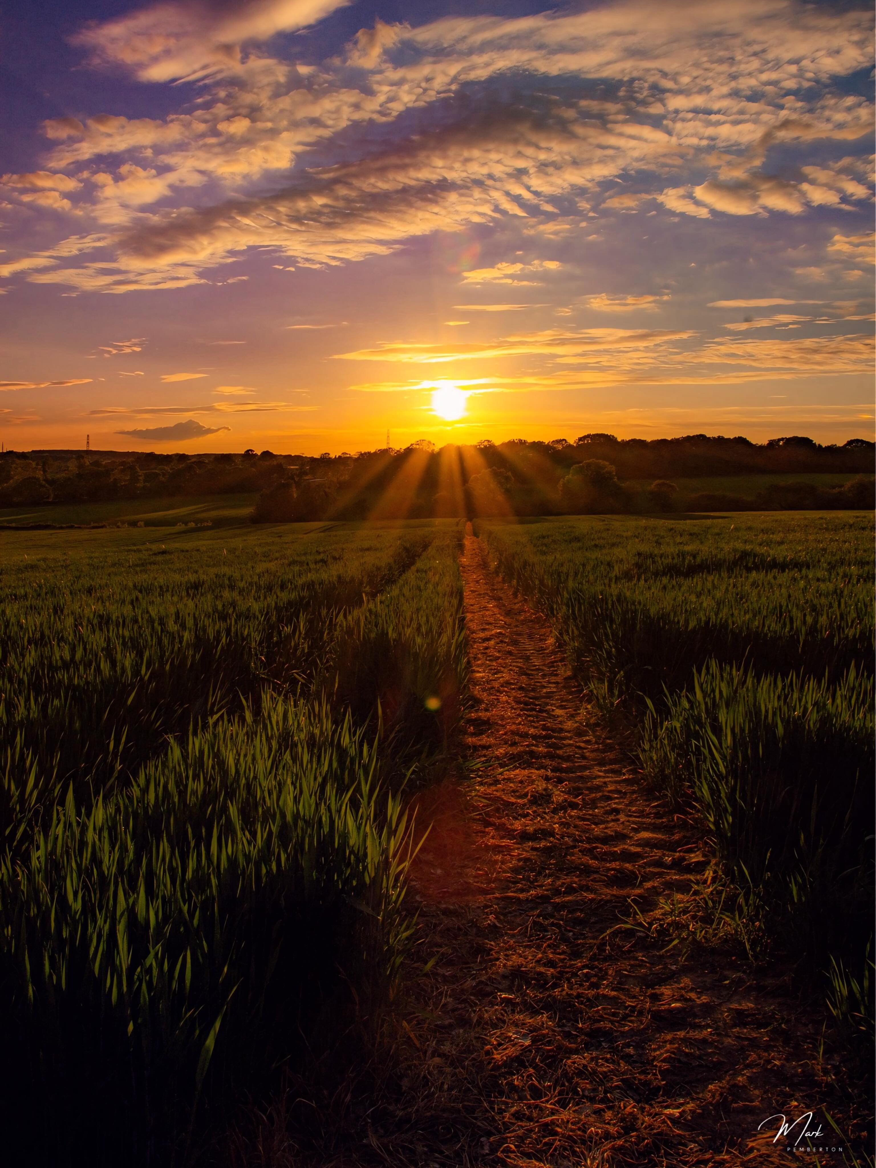 A golden goodnight from the sun #sunsetphotographs #bbc_midlands #bbccwr #sungoesdown