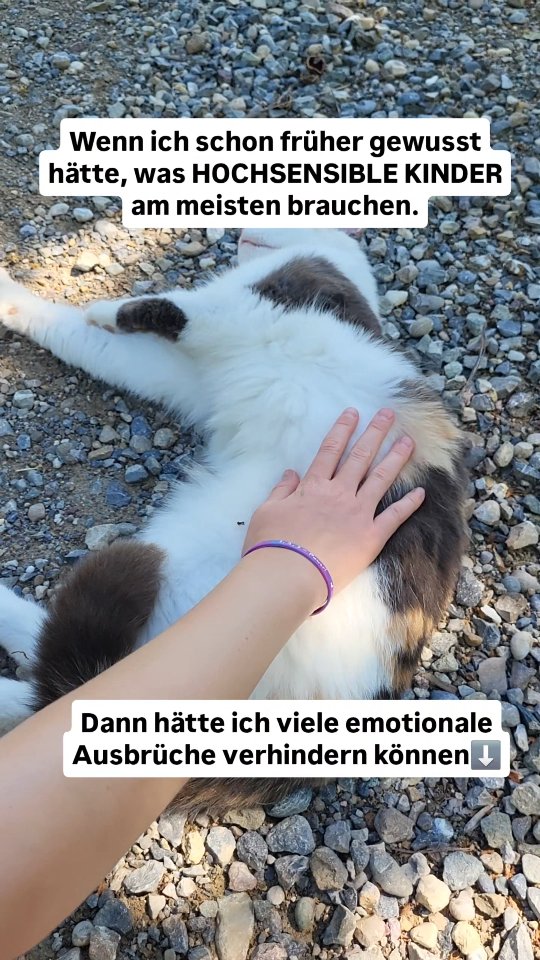 Was hochsensible Kinder nämlich am meisten brauchen ist ERDUNG. Durch Erdung können sie ihr sensibles Nervensystem regulieren.
➡️ Erdung kann ganz unterschiedlich stattfinden. Natur und Tiere stehen auf der Liste der Möglichkeiten ganz weit oben: Spaziergänge im Wald oder Tiere streicheln.
➡️ Alles, was die Füsse aktiviert gehört natürlich auch dazu: barfuss gehen, kneippen, Füsse massieren.
➡️ Erdende Bewegungen: Hüpfen, von Stühlen oder Mauern auf den Boden springen, den Körper ausschütteln oder abstreifen.
➡️ Alle Elemente helfen grundsätzlich sich zu erden: Blumen pflanzen (Erde), baden oder duschen (Wasser), bewusst und lange ausatmen (Luft), Kerzen oder prasselndes Lagerfeuer beobachten (Feuer).
➡️Folge mir für mehr Wissen und Tools zum Umgang mit hochsensiblen Kindern.
➡️Speichere dir dieses Video ab, damit du es im Notfall zur Hand hast.
Herzlich, Jacky 🦋
