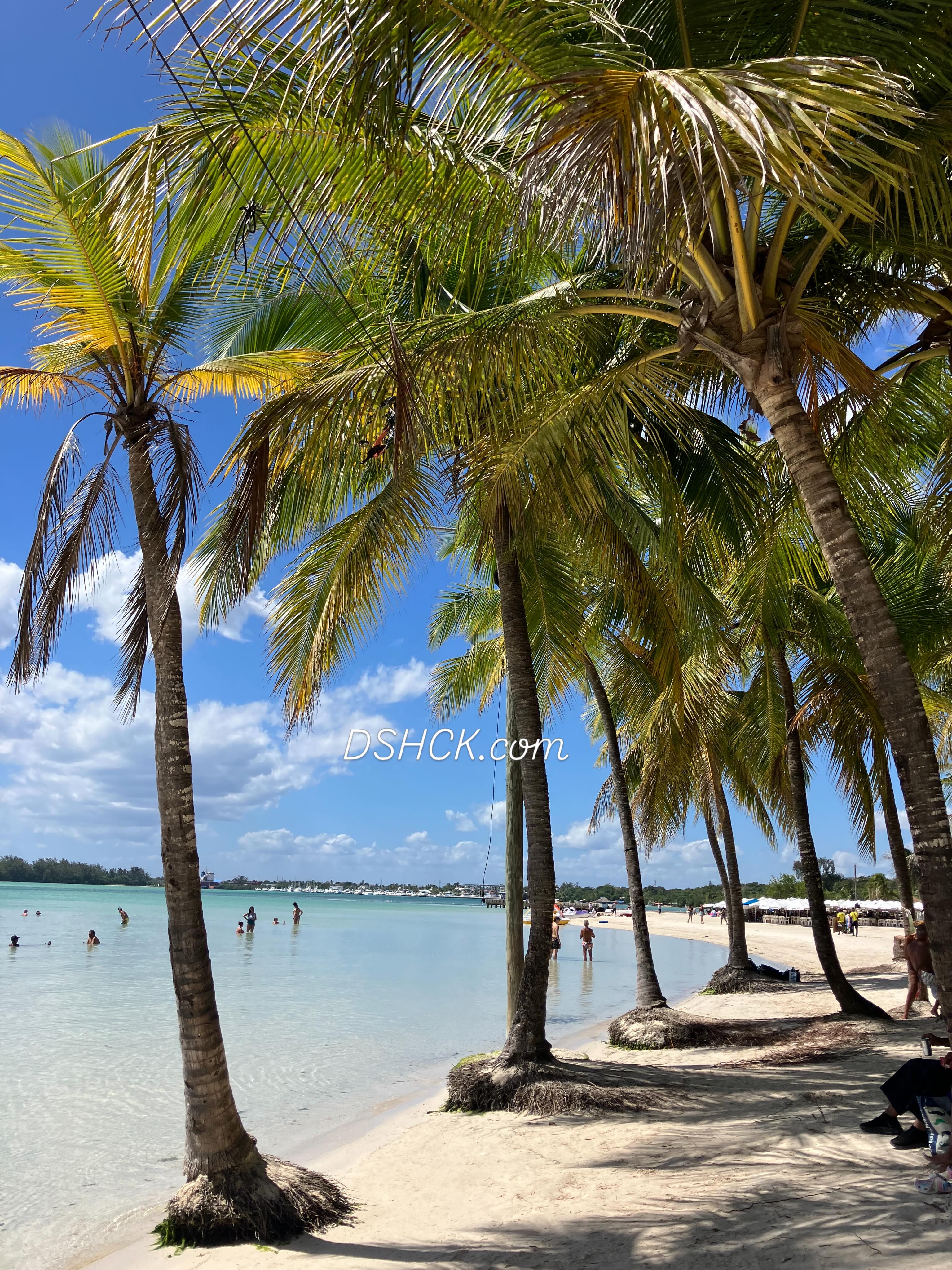 Your dream destination is calling. Answer it in style.Choose your perfect suitcase today at DSHCK.com
#travel #republicadominicana #traveholic #lugguge