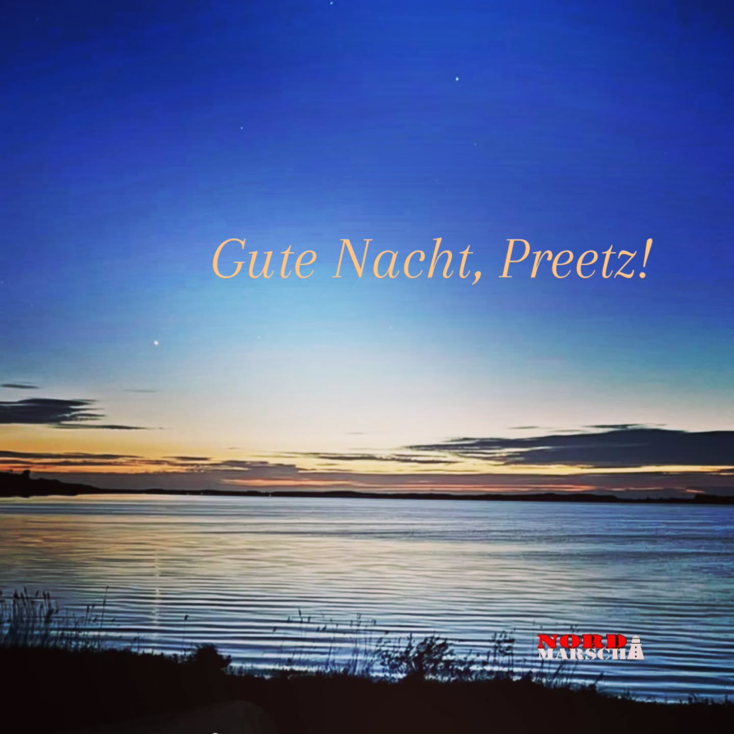 Gute Nacht, Preetz, wir sehen uns wieder!
Deine Nord-Marscher 🌛💤
Ein großer Dank an alle Beteiligten auf und neben der Strecke, besonders an Anni & Dirk für Ihr ❤️-projekt
in Ihrer Heimat zwischen den 8 Seen!
#gutenacht #preetz @nordmarsch #premiere #8seenmarschpreetz #wirkommenwieder