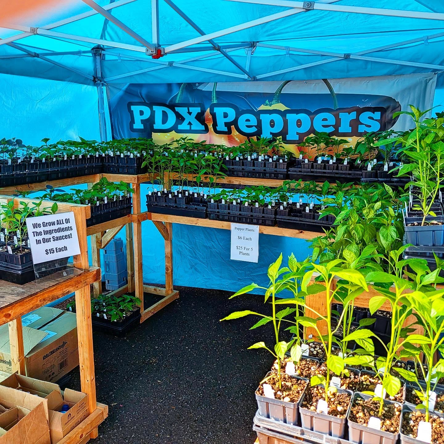 Come find us at the @stjohnsfarmersmarket today until 2pm! After just two weeks we are already sold out of 60% of all our plants for the season! Don't sleep on the chance to get pepper plants you won't find anywhere else in Portland!
•
•
•
#PDXPeppers
#ThePepperNursery
#StJohnsFarmersMarket