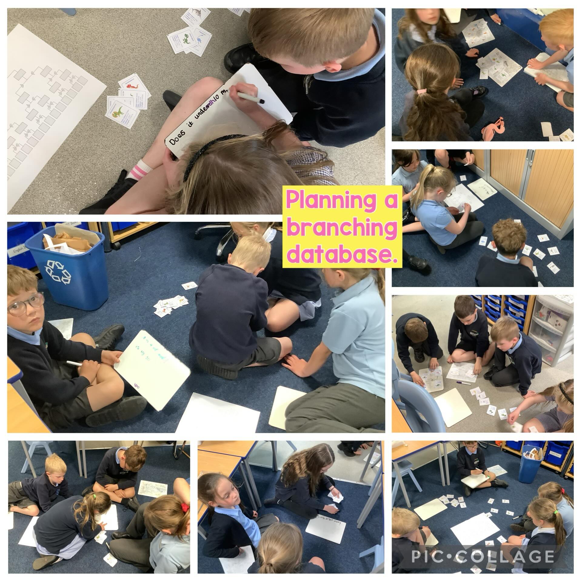 Today in computing Class Maple have been creating questions to use in a branching database. There were some super questions and collaboration to separate the dinosaurs, using the information on each fact card. Great teamwork in each group ! π¦π¦