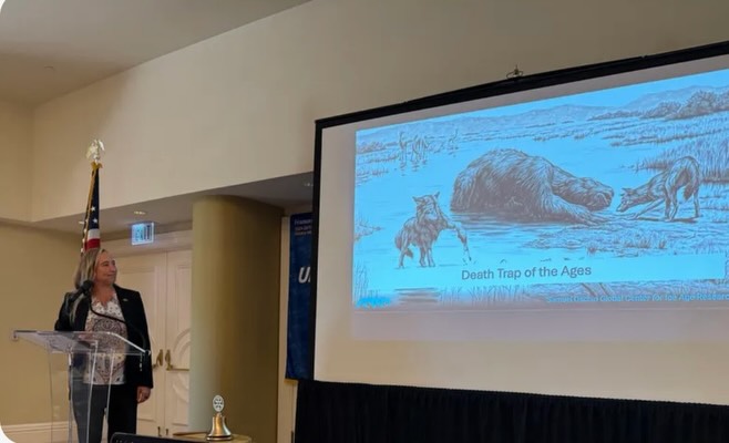Rotary Monday✨Our speaker last week, courtesy of Lynda Oschin and the Natural History Museum, was Regan Dunn the Assistant Deputy Director and Associate Curator at La Brea Tar Pits & Museum.
We also indicted new member, Randy Seff.