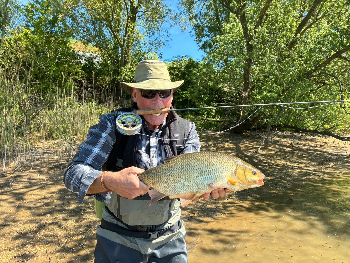 The Chase continues with the squad on the Dutch flatlands.Fly fishing for Ide’s, Bream’s, Carps, Chub’s, and many more species. Surrounded by Beavers, Kingfishers and Sea eagles. Check in on our website to book your guided trip 🤙
#fishingguidenetherlands #fishingcharterholland #flyfishingnetherlands #netherlands #flyfishing