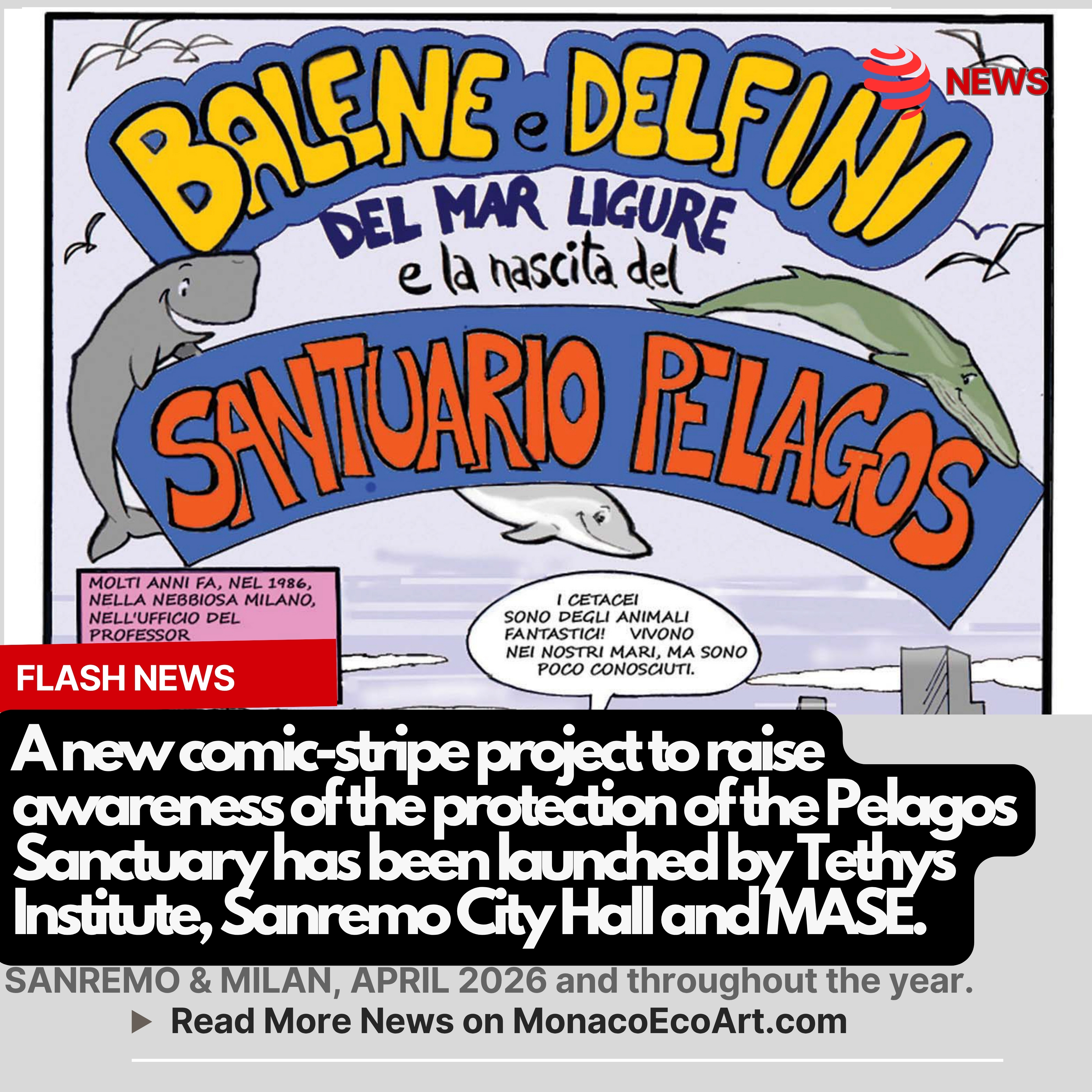 @mo.eco_art MonacoEcoArt.com #flash #news #Mediterranean #Pelagos #Sanctuary #edutainment #italy 🌊🐬On April 2026, a new #project to raise #awareness of the #protection of the Pelagos Sanctuary has been launched by Tethys Institute with the support of the Municipality of Sanremo and further partners, notably Ceriale, Zoagli, and Levanto: a unique #comic strip edition conceived as part of “Santuario Pelagos: conoscerlo per amarlo e proteggerlo” (Pelagos Sanctuary: knowing it to love and protect it), under the umbrella of the Italian Ministry of Environment and Energy Security – MASE 🎯🐳 Engaging the general audience of all ages through a straight-to-the-point and #understandable storytelling is the core #mission of this #initiative aimed at pushing them to #act for the safeguarding this vast Mediterranean #heritage among Italy, France and the Principality of Monaco, crowded with different species of #cetaceans 🚢🔬 Founded on January 31, 1986 in Milan by Giuseppe Notarbartolo di Sciara and Egidio Gavazzi, the Tethys Institute is being celebrating its 40-year anniversary of scientific research dedicated to the conservation of marine mammals in the Mediterranean Sea, with special focus on #whales and #dolphins 🐢🦭 Over four decades, the Institute, headquartered at the Aquarium of Milan, has created one of the largest databases on Mediterranean cetaceans, extending studies to other emblematic #species like sea turtles and monk seals 🗣️📣 Dr Sabina Airoldi from Tethys Institite highlighted: “We wanted to create a video that, in addition to offering spectacular images, also had a strong popular value and for this reason we specifically created a series of animations”; Maddalena Jahoda, creator and screenwriter of the comic, pointed out: “We came up with the idea of describing the process as the adventure we experienced in the early years of the Institute, and what better medium than a comic book, capable of speaking at all ages?”📸 © @tethys_research @sanremocittadellamusica_ @mase_it @proloco.ceriale @comunedizoagli #levanto - Layout and Contents by: © MonacoEcoArt