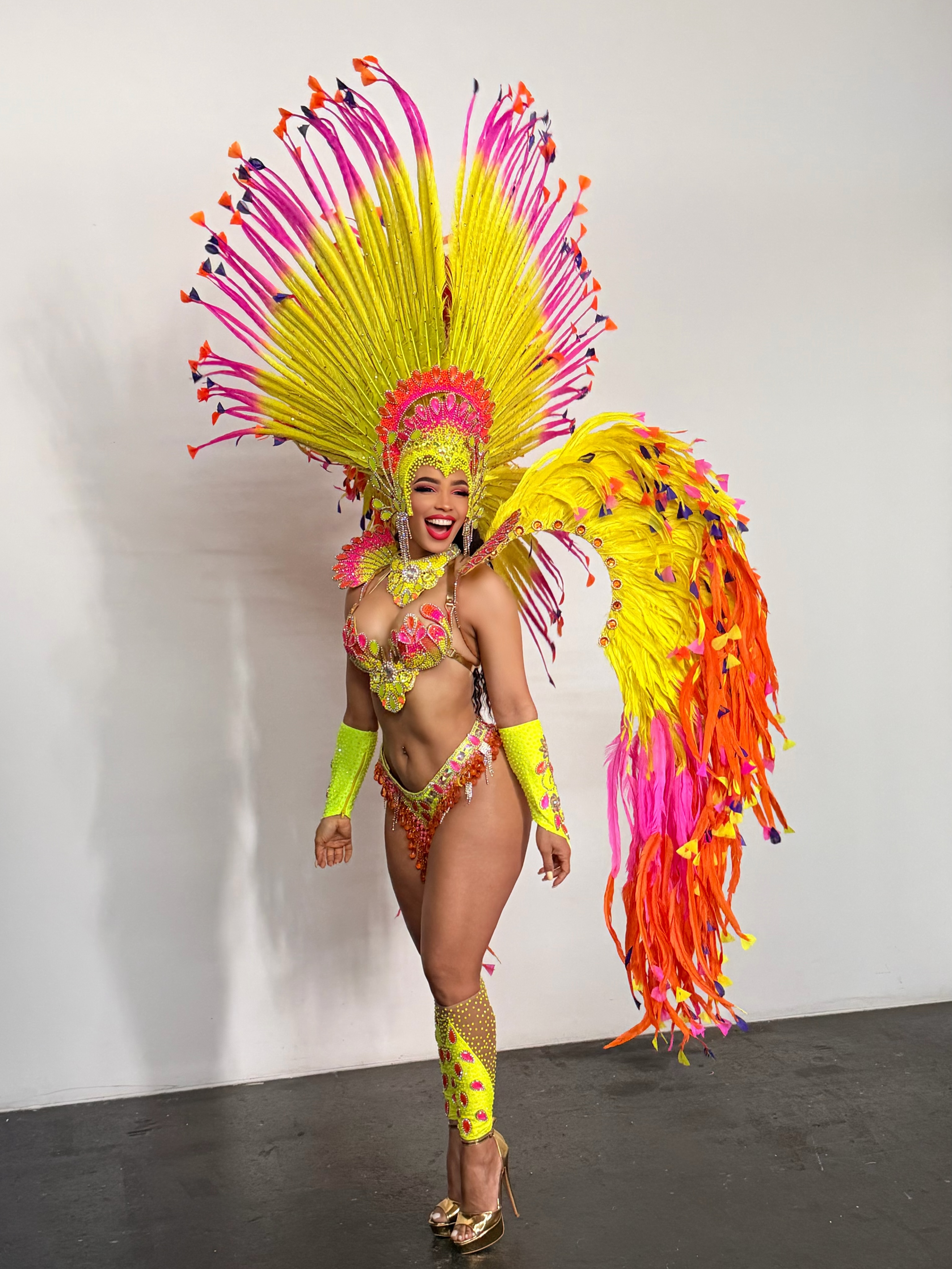 É o dia dela! Feliz aniversário a nossa mamacita de fogo Yanilda ❤️🔥
.
.
.
.
#samba #brazilianfantasy #carnaval