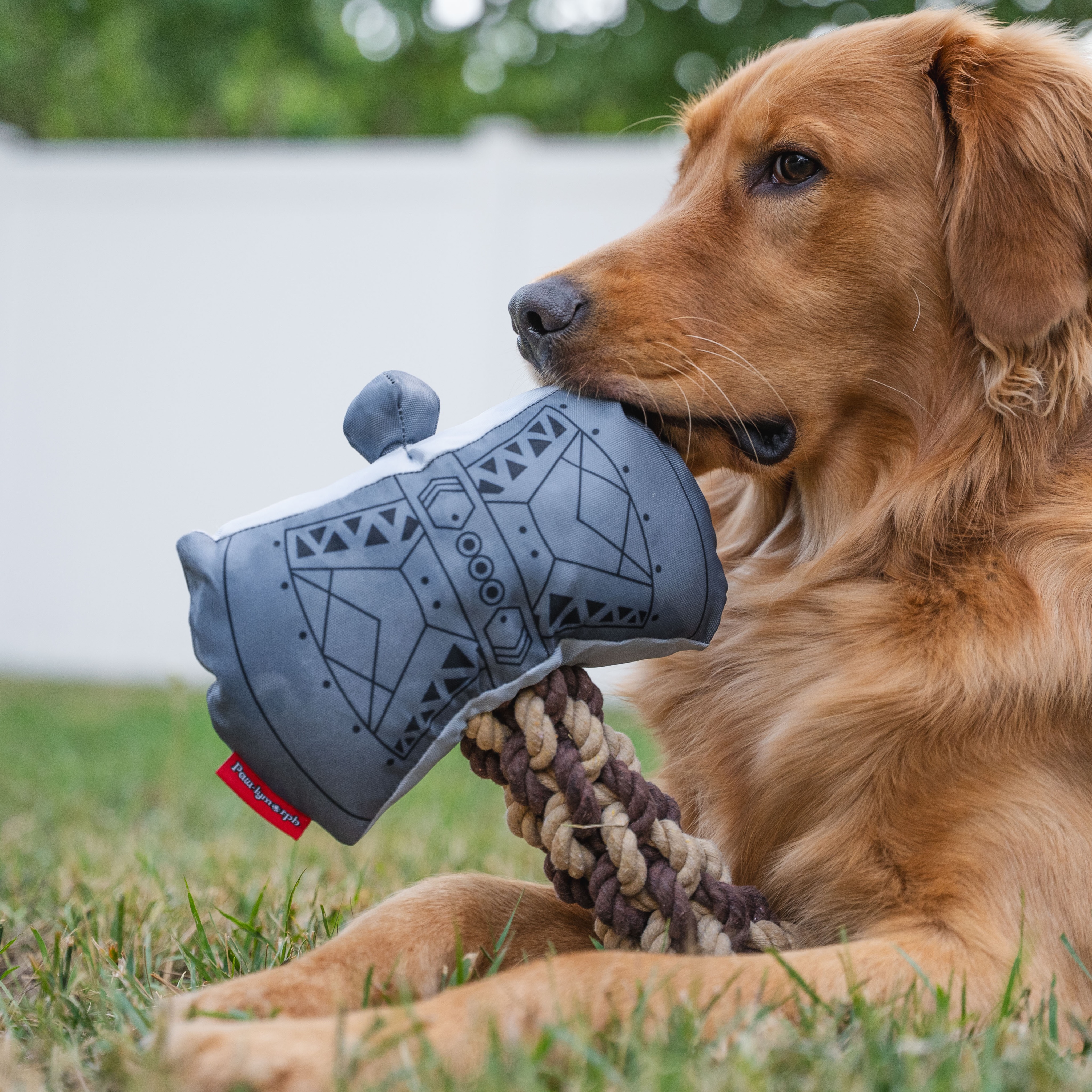 A Barbarian is always ready to go, that’s their secret. Is your pup ready for the call of adventure?
#pawlymorph #dnd #dogtoys #barbarian