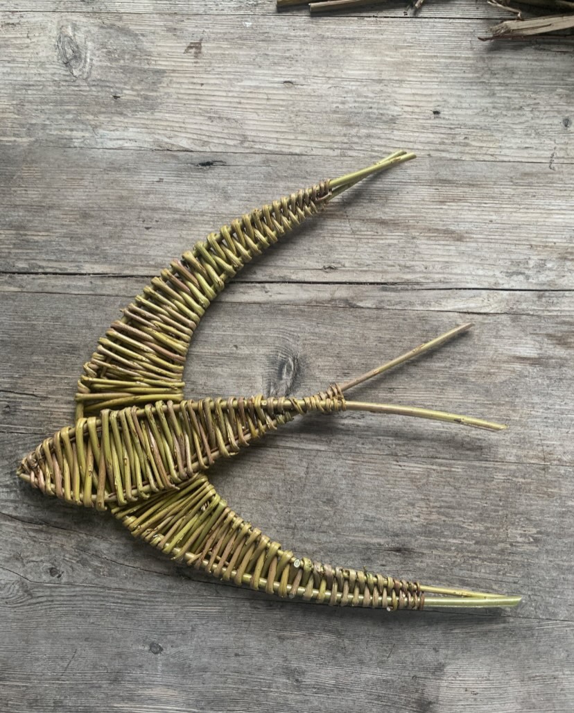 Earlier this week I visited #jaquelineiddonhardyplants for a great tour and talk about plant propagation. It was thoroughly enjoyable. The visit was organised by Angela at @petal_and_twig for the north west region of @flowersfromthefarm members.
Whilst there I saw my first Swift of the year so with swifts in the air I thought I’d better remind you that I also have swifts in the workshop too!
I’ll be teaching the willow swifts workshop here on the 1st of August. Pop over to the website for details or see the link in todays stories 😊
#swift #willowworkshop #northwest
