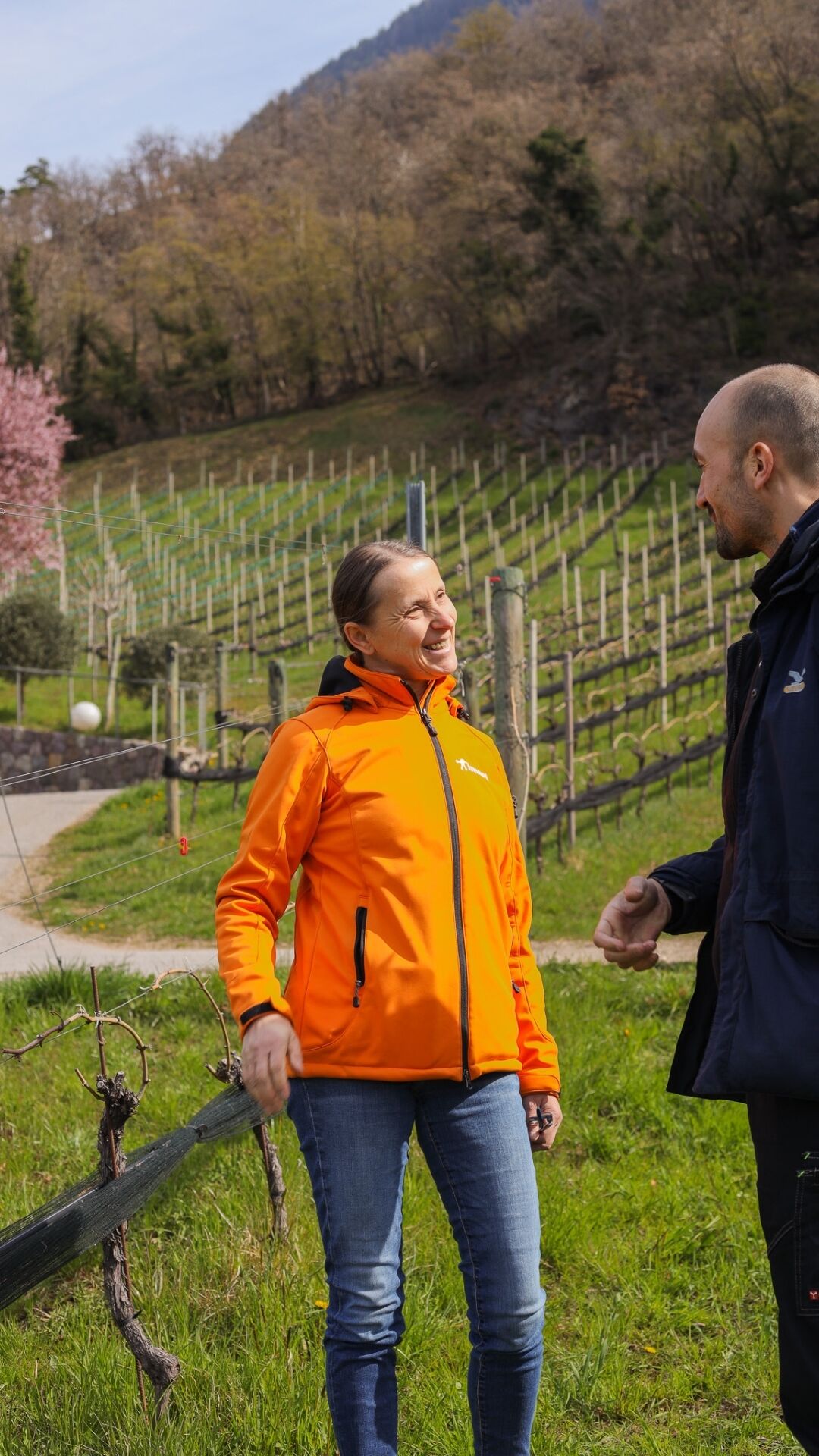 Gezielte Unterstützung im Weinbau: Vite & Ascovite für eine stabile und erfolgreiche Saison. 🍇📈
#intactsolutions #growingsolution #zeroresidue #peronospora #weinbau