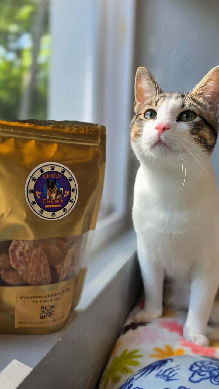 Have your cats tried our Chicken Jerky yet? 🐱🐾
Made with 100% real chicken and already getting the purr of approval around here 💜✨ Your cats might just become obsessed! 🐈✨ #chojichews #kansascity #cats #cattreats #kcsmallbusiness