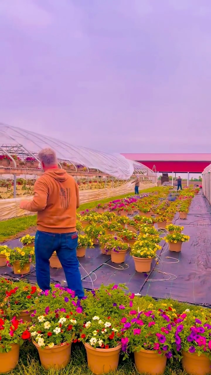 A couple of weeks ago, we lost the top of our high tunnel during the tornado that moved through the area. Our crew worked incredibly hard to get everything put back together before the hustle and bustle of last weekend. ๐ฉท