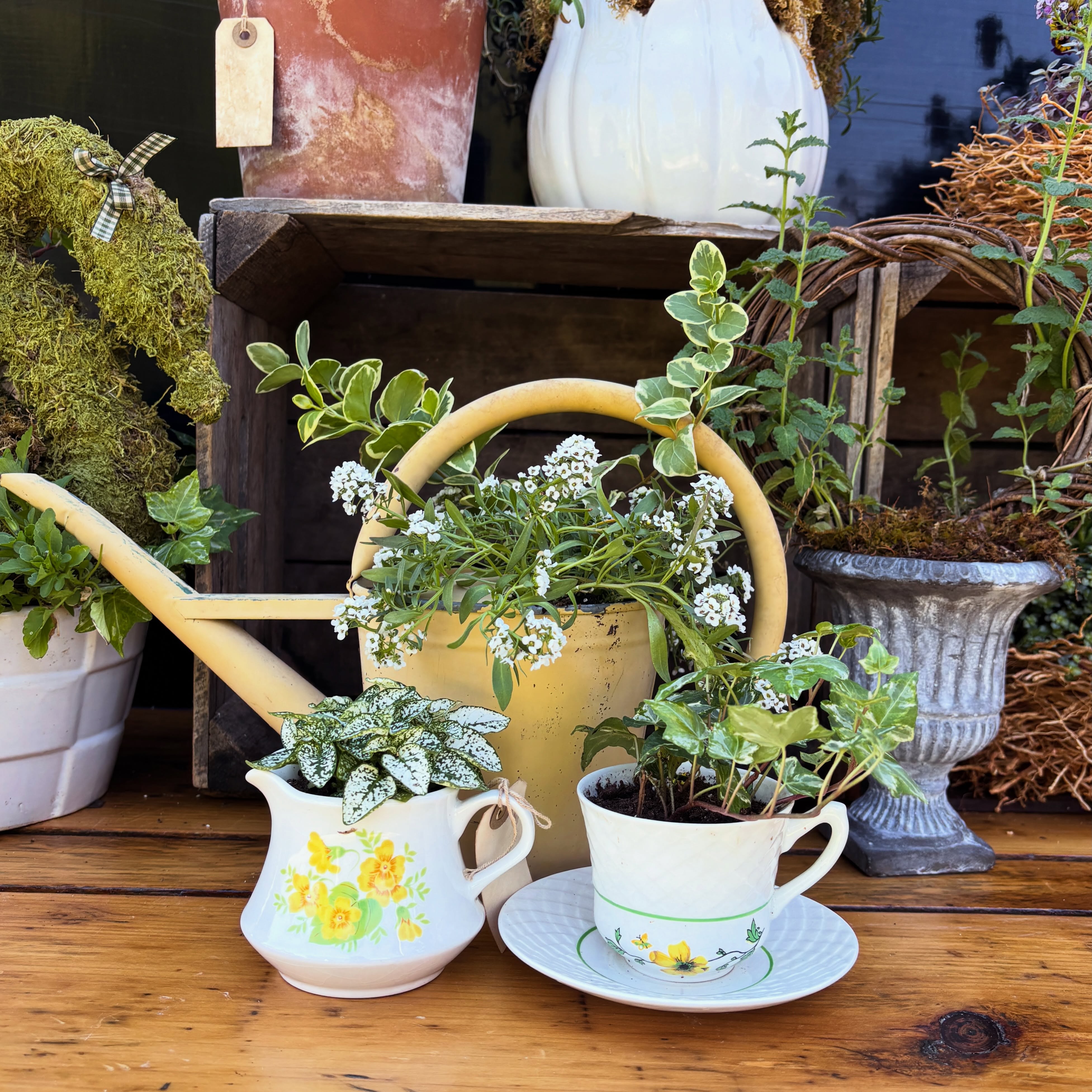 Need a gift for someone special? Teacher, colleague, neighbor? We have a beautiful selection of garden-inspired potted plants, wreaths and patio planters.
Visit the Floriculture Flower Truck, 7-days a week and find a thoughtful, one-of-a-kind item.