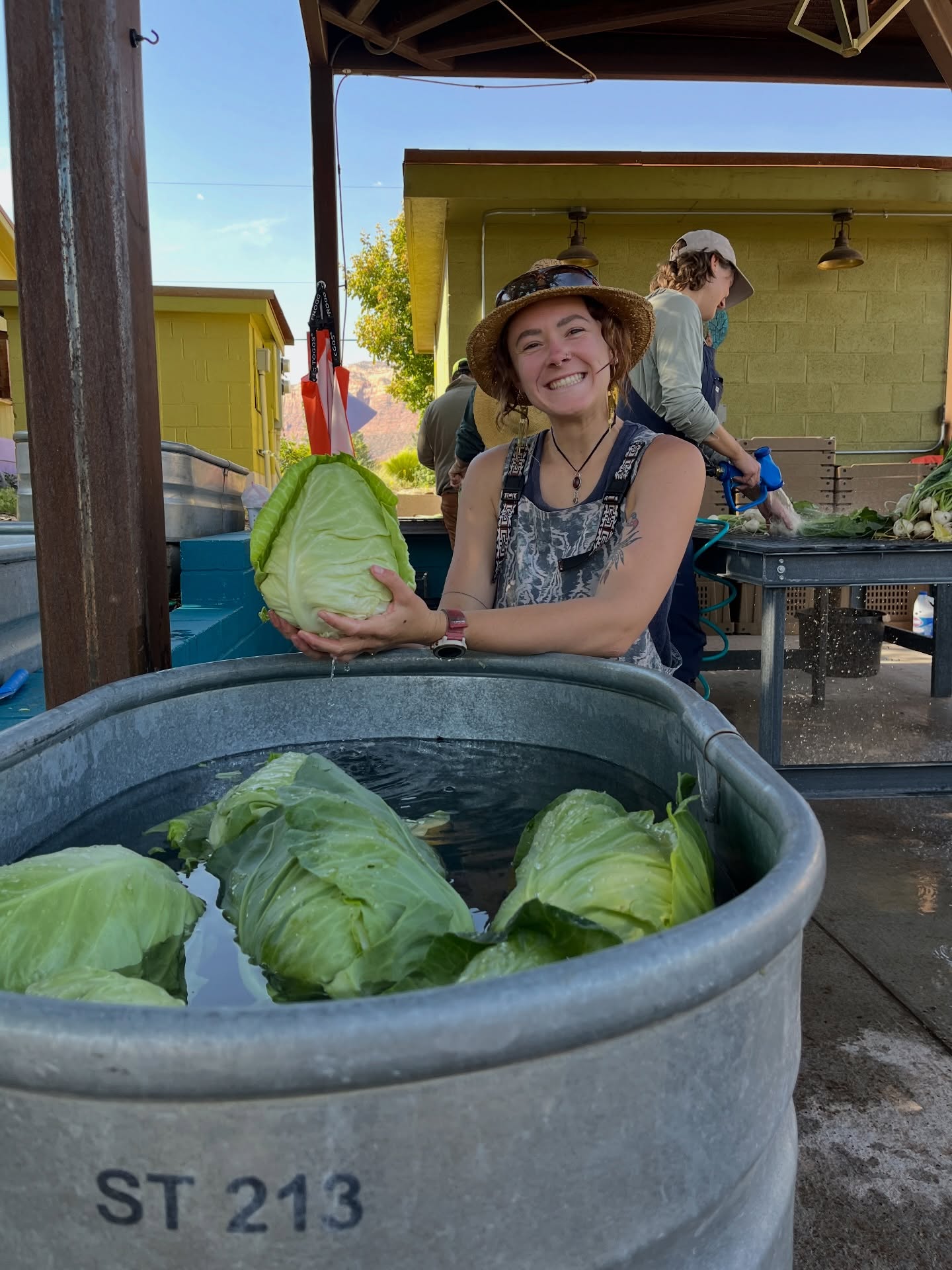 Our team had a blast during our first CSA harvest of the season 🥳 the beautiful vegetables and good peeps made sure that we had smiles on our faces all morning! Still can’t believe it’s CSA season and we will be locked in to packing your baskets for the next 20 weeks #timeflieswhenyouregrowingfood
Special thank you to our CSA members and CSA work trade community we couldn’t do it without you all!
Find all these beautiful veggies also available in the farmstand!