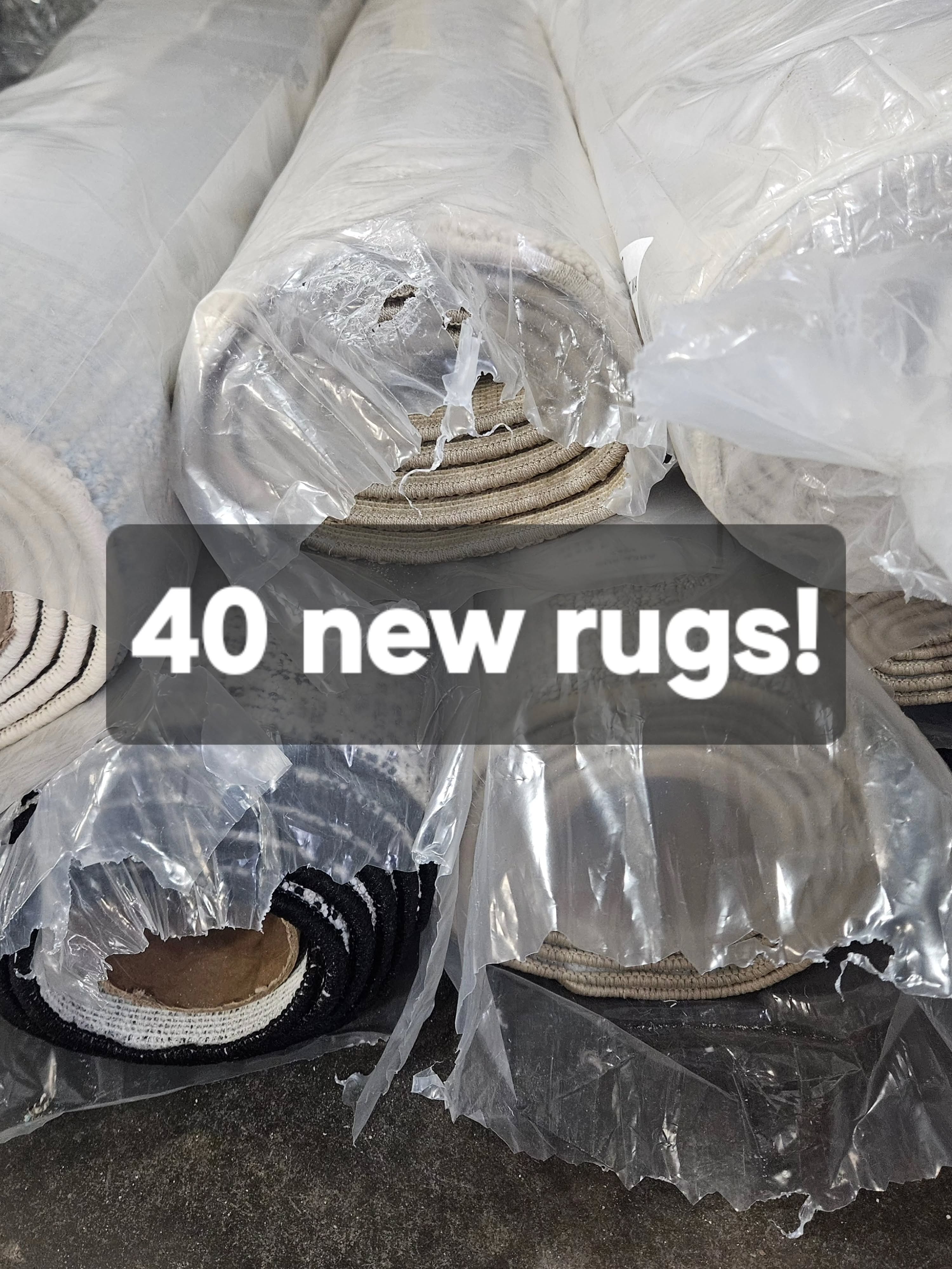 Over 40 new rugs hot off the truck! A balanced mix of solid tones and patterns, all 9x12, 8x10, 6x9 and 5x8s!