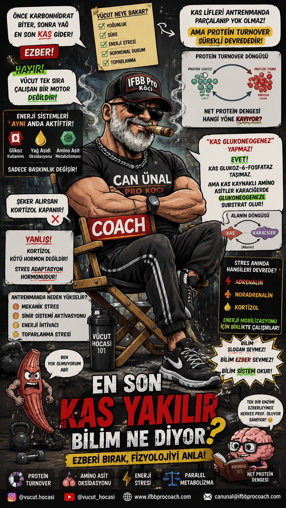 Metabolizma sosyal medyada anlatıldığı kadar basit değil.
“Önce karbonhidrat biter, sonra yağ yakılır, en son kas gider” mantığı yıllardır fitness dünyasında dolaşan en büyük ezberlerden biri haline geldi. Oysa modern egzersiz fizyolojisi bize enerji sistemlerinin paralel çalıştığını, substrat kullanımının dinamik olduğunu ve insan organizmasının tek sıra çalışan bir yapı olmadığını yıllardır anlatıyor.
Bu videoda özellikle:
Protein turnover,
Amino asit oksidasyonu,
Kortizolün adaptif rolü,
Enerji metabolizmasının paralel yapısı,
Ve “en son kas yakılır” söyleminin neden fazla basitleştirilmiş bir anlatım olduğunu bilimsel çerçevede ele aldım.
Bilim slogan sevmez.
Bilim ezber sevmez.
Bilim sistemi okumayı gerektirir.
IFBB PRO COACH CAN ÜNAL
İletişim:
Instagram: @vucut.hocasi
YouTube: vucut_hocasi
Web Site: www.ifbbprocoach.com
E-Posta: canunal@ifbbprocoach.com
Umbrella Review / Bilimsel Kaynaklar:
• Brooks GA – The Lactate Shuttle and Energy Metabolism
• Wolfe RR – Branched-Chain Amino Acid Metabolism in Humans
• Pasiakos SM – Protein Metabolism and Exercise Adaptations
• Hackney AC – Exercise Stress and Neuroendocrine Adaptation
• Spriet LL – Regulation of Skeletal Muscle Substrate Utilization During Exercise
• Phillips SM – Protein Turnover and Exercise-Induced Adaptations
• Morton RW et al. – Protein Supplementation and Resistance Training Meta-Analysis
• Poortmans JR – Protein and Amino Acid Metabolism in Athletes
#vucuthocasi
#Kortizol
#ProteinTurnover
#EgzersizFizyolojisi
#ifbbprocoach