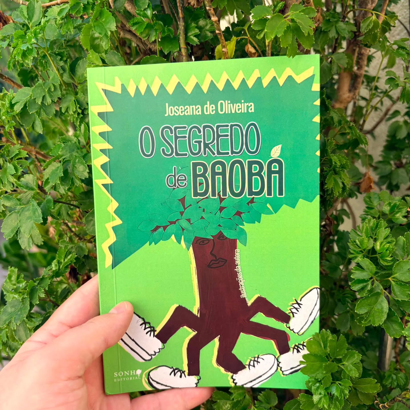 Chegou a hora de revelar o Segredo de Baobá! 🌳
O livro de estreia da autora @joseana_de_oliveira já está disponível em nosso site: sonhoeditorial.com.br
O lançamento ocorrerá no dia 06/06, e os detalhes serão divulgados na próxima semana.
A equipe Sonho está muito feliz com o resultado deste livro lindo, mais um sonho realizado.
Sinopse: Acompanhe a história de Baobá, uma árvore que deseja florescer, mas encontra dificuldades constantes em sua jornada. Ela percorre lugares e relações que prometem acolhimento e apoio. Mas, sempre que avança, é censurada justamente por aqueles em quem acreditava poder confiar. Em sua jornada, Baobá conhece personagens marcantes — como Caramelo, Taruma e lara — que despertam sentimentos ambíguos, oscilando entre confiança e desconfiança, cuidado e destruição. O Segredo de Baobá não está apenas em seu caminho, mas também em sua origem. Porém, o peso dos obstáculos e das exigências do mundo a impede de olhar para dentro e compreender quem realmente é.
🌳 FICHA TÉCNICA 🌳
Título: O Segredo de Baobá
Páginas: 60
Formato: 14.0 X 21.00 cm
Peso: 0.250 kg
Acabamento: Livro Brochura
Lançamento ou registro: 06/06/2026
Selo: Sonho Editorial