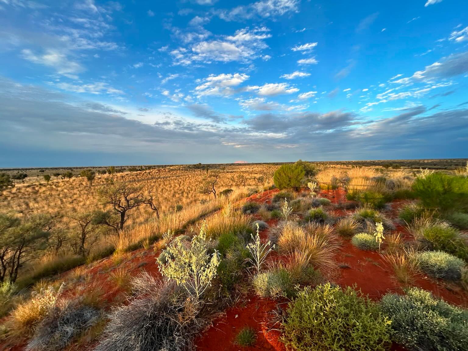 In Aboriginal thinking, Country is not just land, it is a worldview. It is more than land expressed in the Western view of land as landscape. It is as much about the visible as it is about the invisible, the animate as the inanimate. It is an interconnected way of life. We are disconnected from this simple beauty in cities, and in rushed life; but there are always ways to navigate our way back to this simple truth. “ Our spirituality is an interconnectedness with all that lives and breathes, even with all that does not live or breathe” Mudrooroo
May we all slow down, laugh with our tribe till we cry, see the breathe and pulse all around us 🙏 thank you to the Anangu people for having me on this magical land.