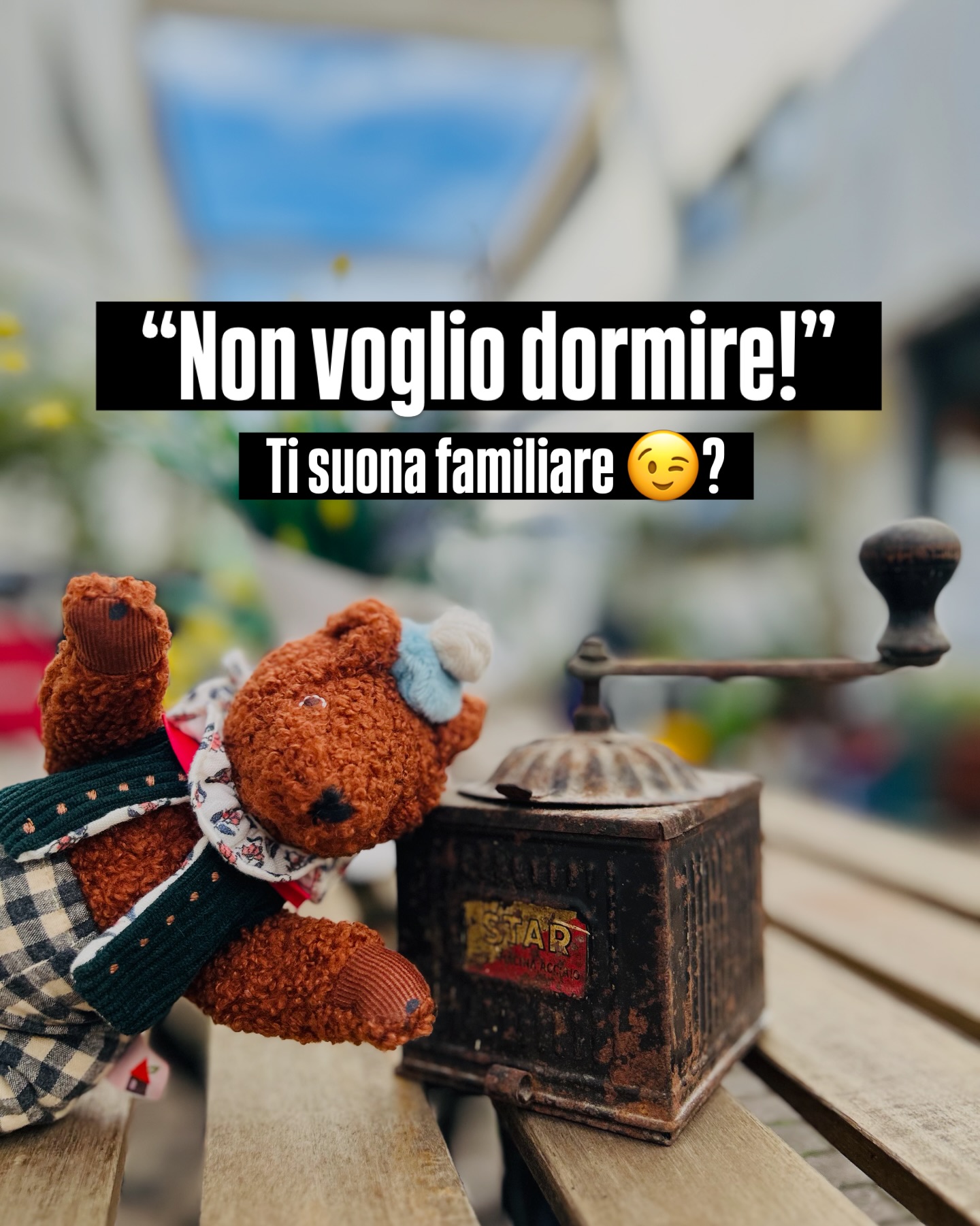 Usare la fantasia, un piccolo amico che insieme a loro “fa le cose” può essere un modo molto efficace (e divertente) per raggiungere un risultato 😉 e recuperare quel vecchio e polveroso libro…messo lì sul comodino da troppo tempo.
♥️ Funziona! Parola di Giocattolaio ♥️
-
#magoriumgiocattoli #ninnananna #giocareinsieme #crescere #mammefelici
-
@moulin_roty @moulinrotyitalia
