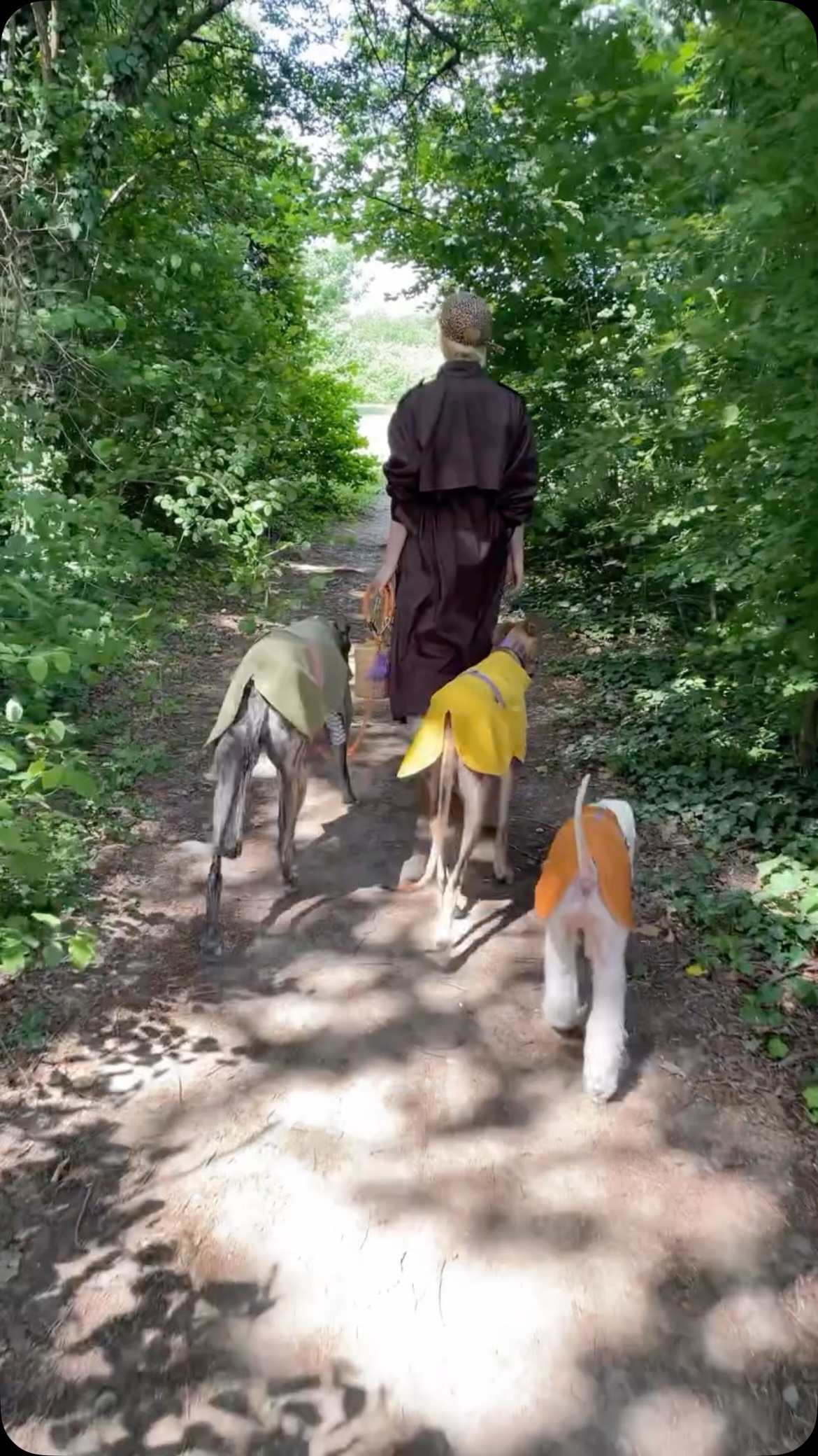 Dopo giorni di pioggia, finalmente il sole.
Ettore, Giangi e Agatha corrono tra i boschi mentre Irene li guarda.
Terra bagnata, luce calda e quell’aria lenta che arriva solo dopo il temporale.
I nostri impermeabili per cani nascono anche per questo:
per le passeggiate vere, per i cani che si sporcano, corrono, esplorano e non stanno mai troppo attenti.
ZigZagoo è fatto così.
Un po’ selvatico, un po’ elegante.
Come certe giornate che sembrano uscite da un film.
Scopri la collezione di impermeabili e giacche per cani ZigZagoo.
#dograincoat #madeinitaly #levrieri