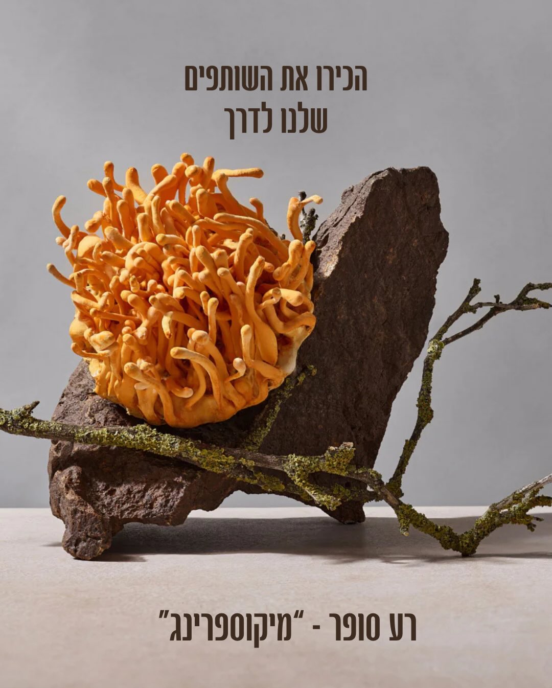  הכירו את השותפים שלנו לדרך.
מתחילים עם האחד והיחיד, איש הפטריות שאנחנו מאד אוהבים, רע סופר 🫶
@mushroom_man_israel@mycospring_israelel
@asafkarela